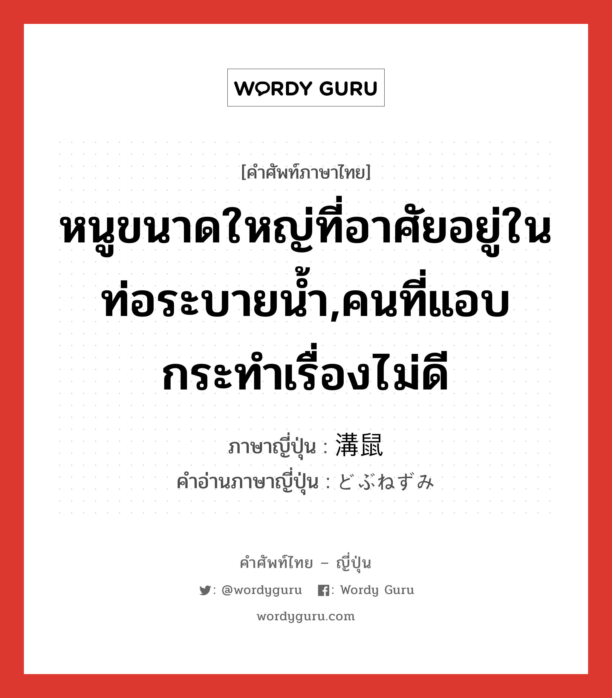 หนูขนาดใหญ่ที่อาศัยอยู่ในท่อระบายน้ำ,คนที่แอบกระทำเรื่องไม่ดี ภาษาญี่ปุ่นคืออะไร, คำศัพท์ภาษาไทย - ญี่ปุ่น หนูขนาดใหญ่ที่อาศัยอยู่ในท่อระบายน้ำ,คนที่แอบกระทำเรื่องไม่ดี ภาษาญี่ปุ่น 溝鼠 คำอ่านภาษาญี่ปุ่น どぶねずみ หมวด n หมวด n