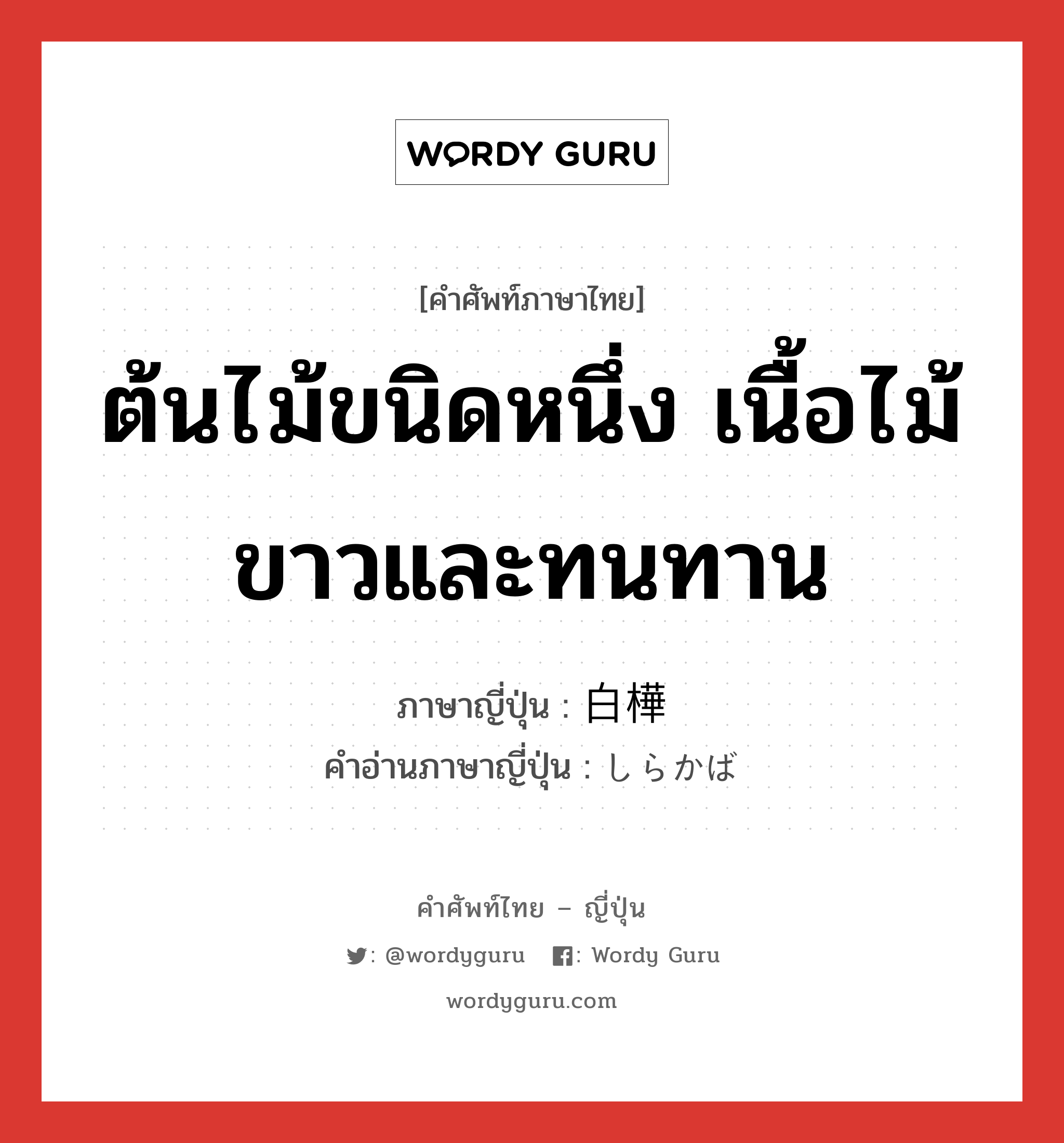 ต้นไม้ขนิดหนึ่ง เนื้อไม้ขาวและทนทาน ภาษาญี่ปุ่นคืออะไร, คำศัพท์ภาษาไทย - ญี่ปุ่น ต้นไม้ขนิดหนึ่ง เนื้อไม้ขาวและทนทาน ภาษาญี่ปุ่น 白樺 คำอ่านภาษาญี่ปุ่น しらかば หมวด n หมวด n