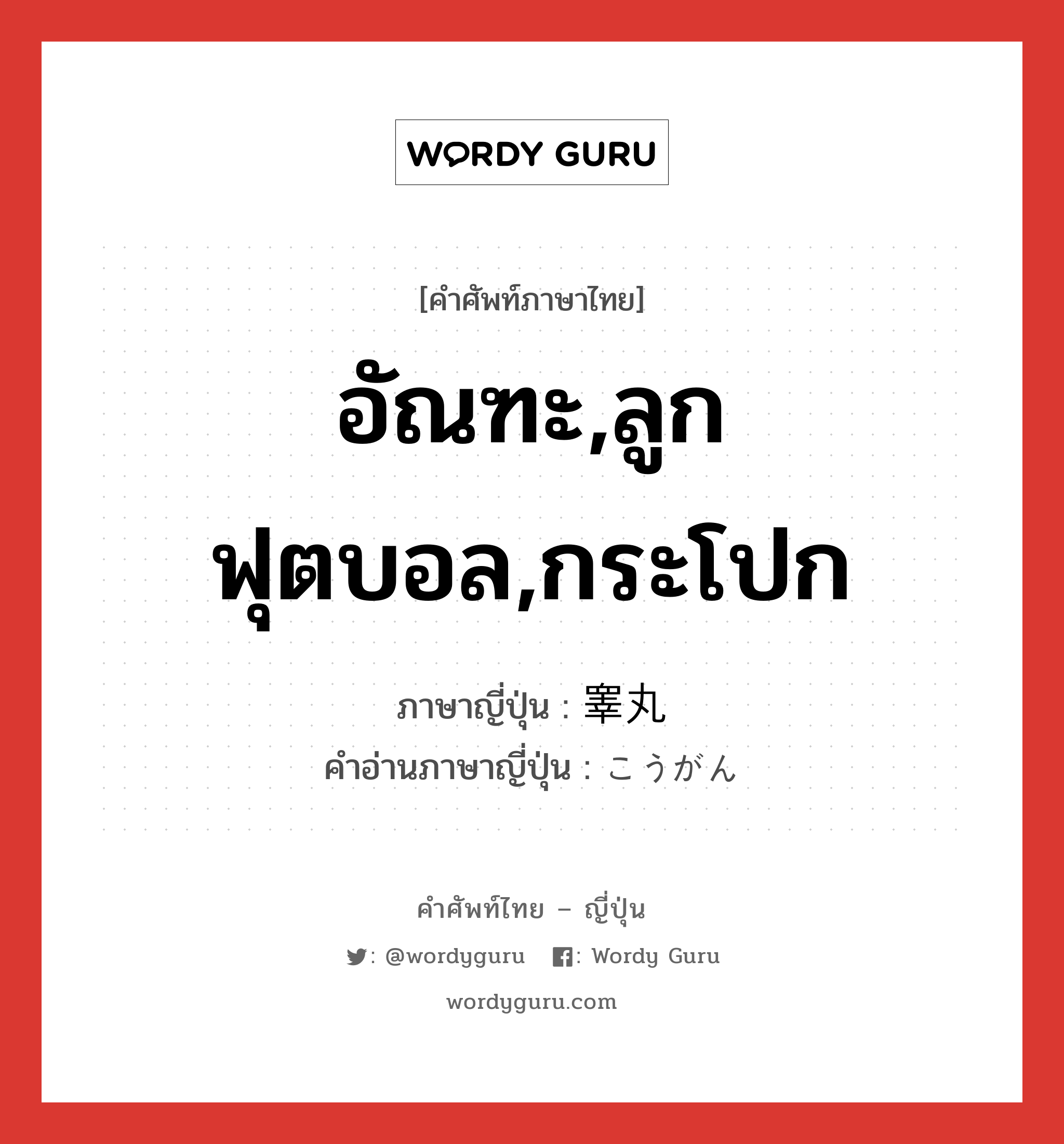 อัณฑะ,ลูกฟุตบอล,กระโปก ภาษาญี่ปุ่นคืออะไร, คำศัพท์ภาษาไทย - ญี่ปุ่น อัณฑะ,ลูกฟุตบอล,กระโปก ภาษาญี่ปุ่น 睾丸 คำอ่านภาษาญี่ปุ่น こうがん หมวด n หมวด n