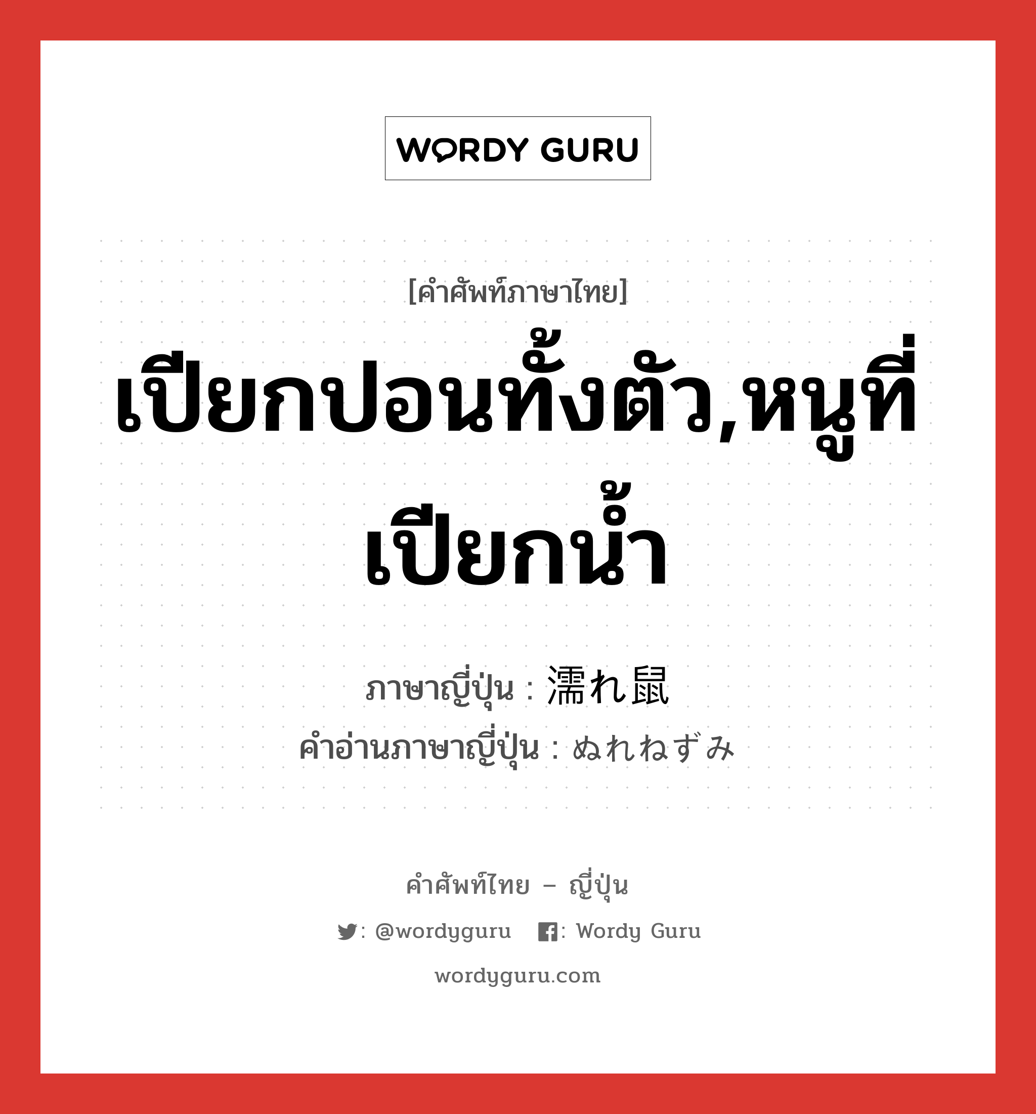 เปียกปอนทั้งตัว,หนูที่เปียกน้ำ ภาษาญี่ปุ่นคืออะไร, คำศัพท์ภาษาไทย - ญี่ปุ่น เปียกปอนทั้งตัว,หนูที่เปียกน้ำ ภาษาญี่ปุ่น 濡れ鼠 คำอ่านภาษาญี่ปุ่น ぬれねずみ หมวด n หมวด n