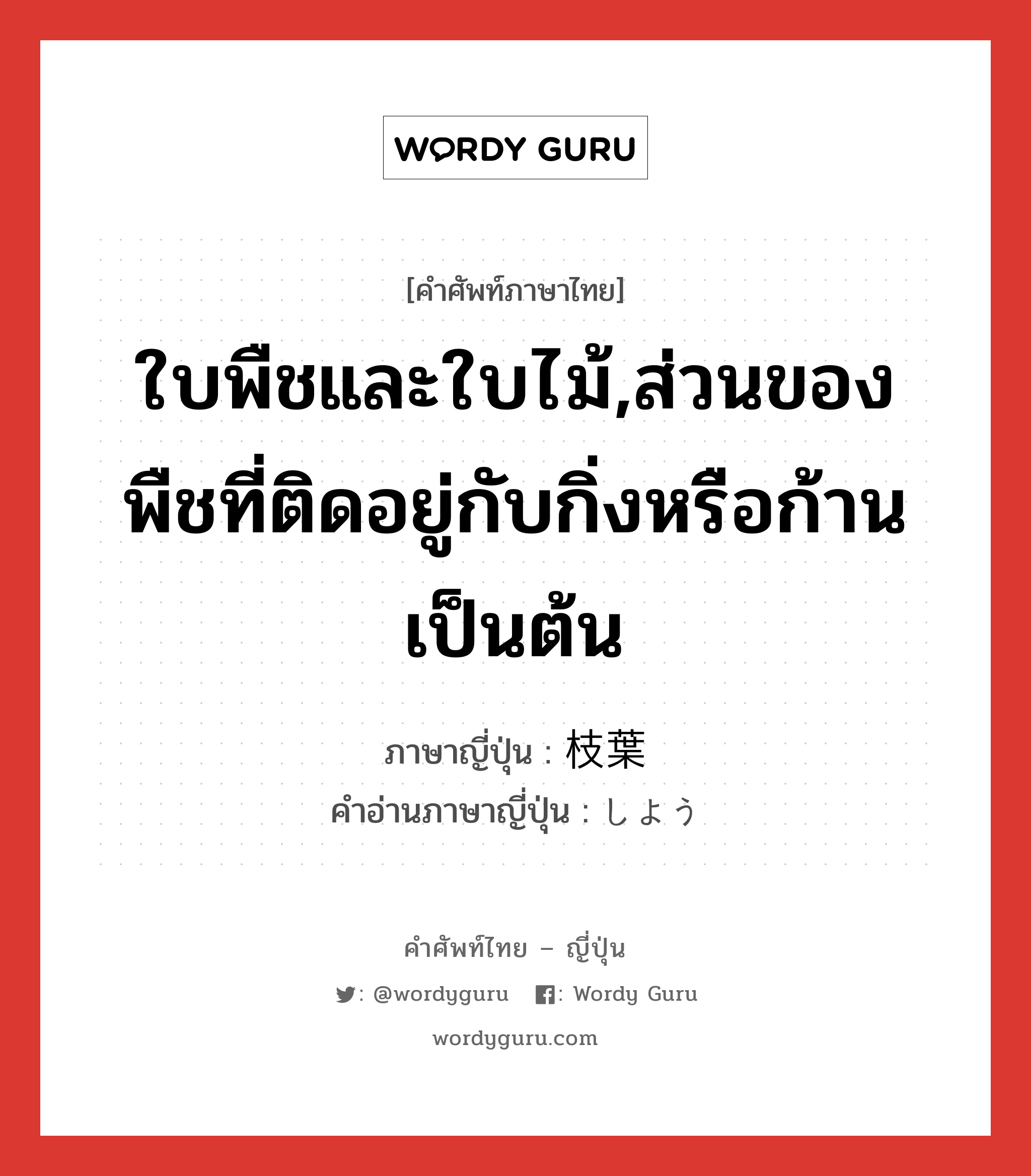 ใบพืชและใบไม้,ส่วนของพืชที่ติดอยู่กับกิ่งหรือก้านเป็นต้น ภาษาญี่ปุ่นคืออะไร, คำศัพท์ภาษาไทย - ญี่ปุ่น ใบพืชและใบไม้,ส่วนของพืชที่ติดอยู่กับกิ่งหรือก้านเป็นต้น ภาษาญี่ปุ่น 枝葉 คำอ่านภาษาญี่ปุ่น しよう หมวด n หมวด n