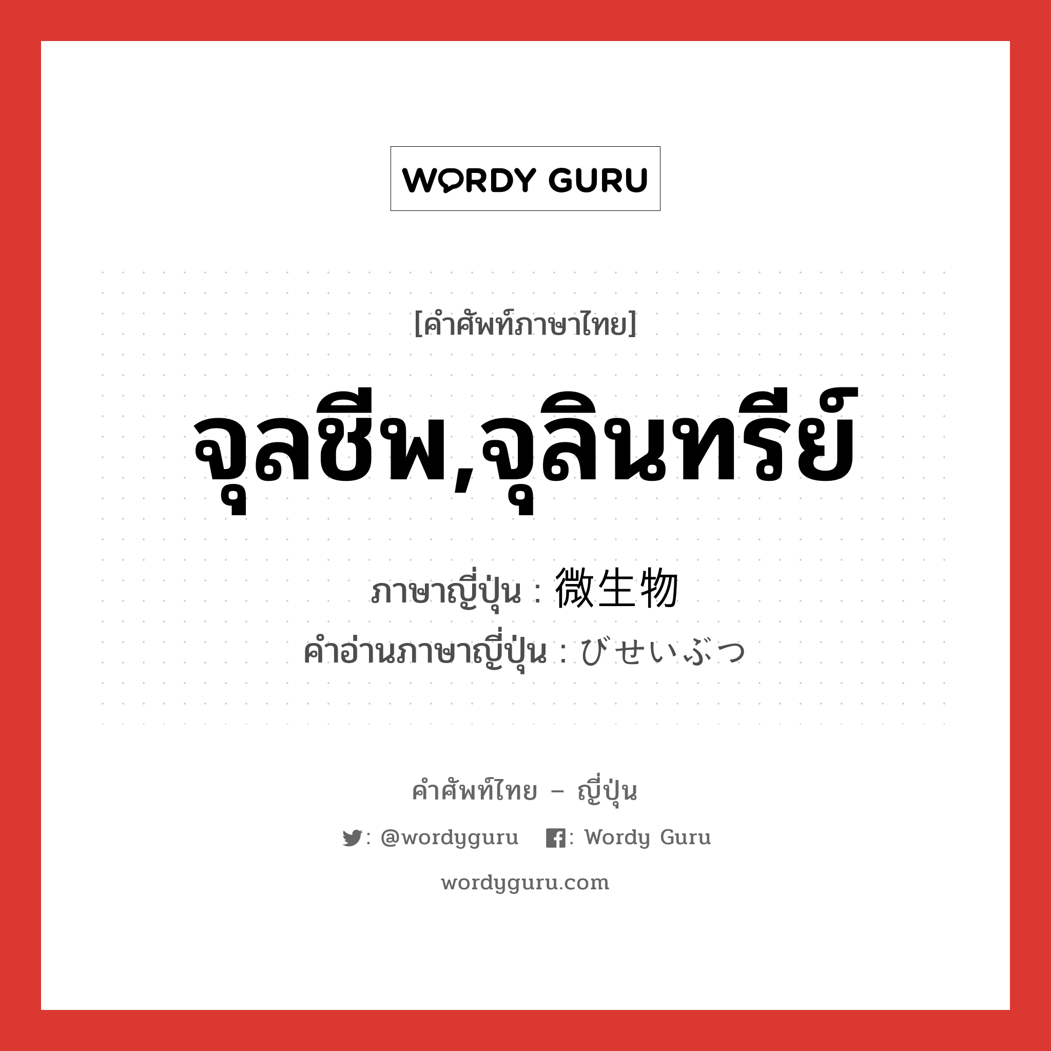 จุลชีพ,จุลินทรีย์ ภาษาญี่ปุ่นคืออะไร, คำศัพท์ภาษาไทย - ญี่ปุ่น จุลชีพ,จุลินทรีย์ ภาษาญี่ปุ่น 微生物 คำอ่านภาษาญี่ปุ่น びせいぶつ หมวด n หมวด n