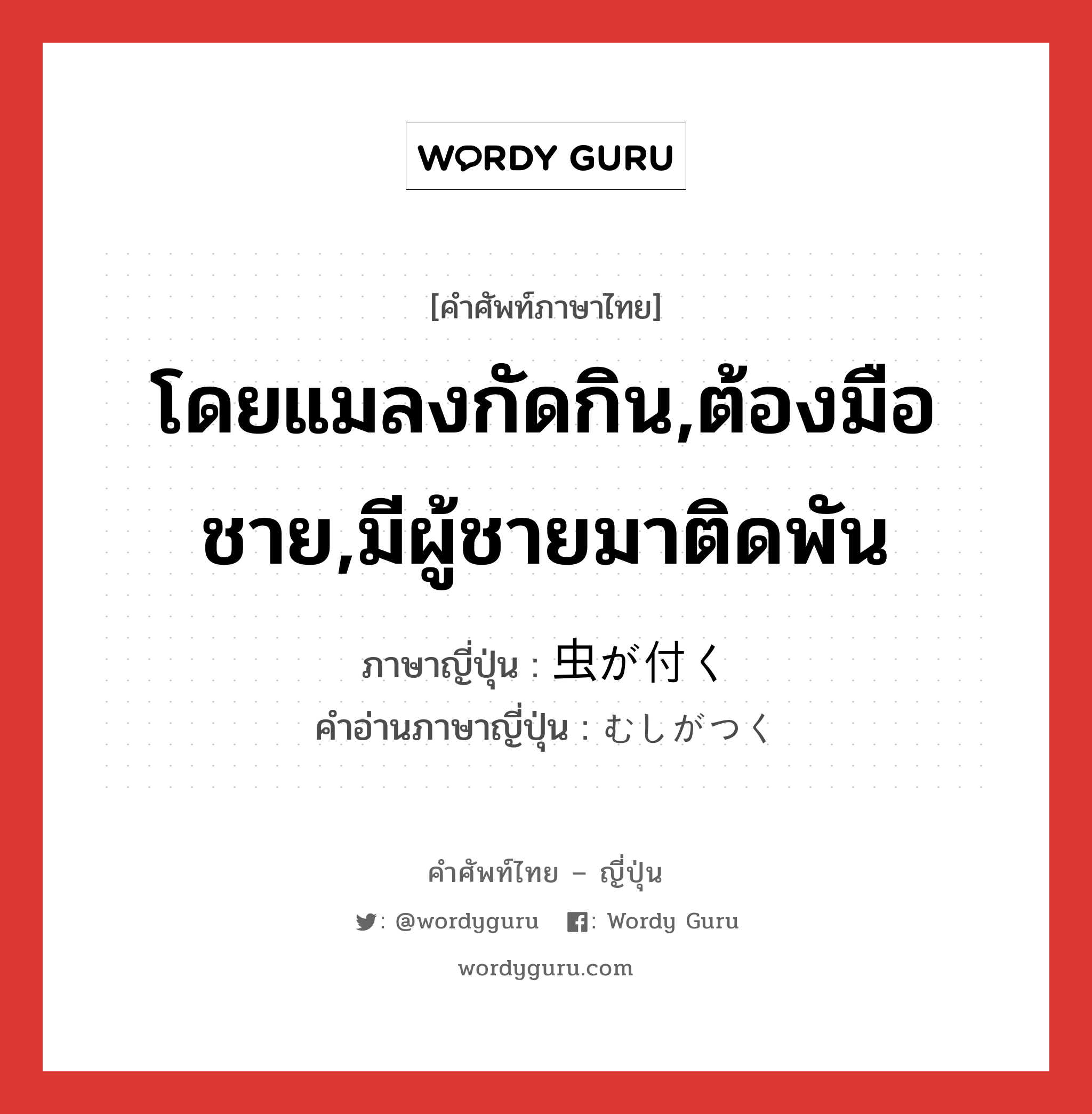 โดยแมลงกัดกิน,ต้องมือชาย,มีผู้ชายมาติดพัน ภาษาญี่ปุ่นคืออะไร, คำศัพท์ภาษาไทย - ญี่ปุ่น โดยแมลงกัดกิน,ต้องมือชาย,มีผู้ชายมาติดพัน ภาษาญี่ปุ่น 虫が付く คำอ่านภาษาญี่ปุ่น むしがつく หมวด exp หมวด exp