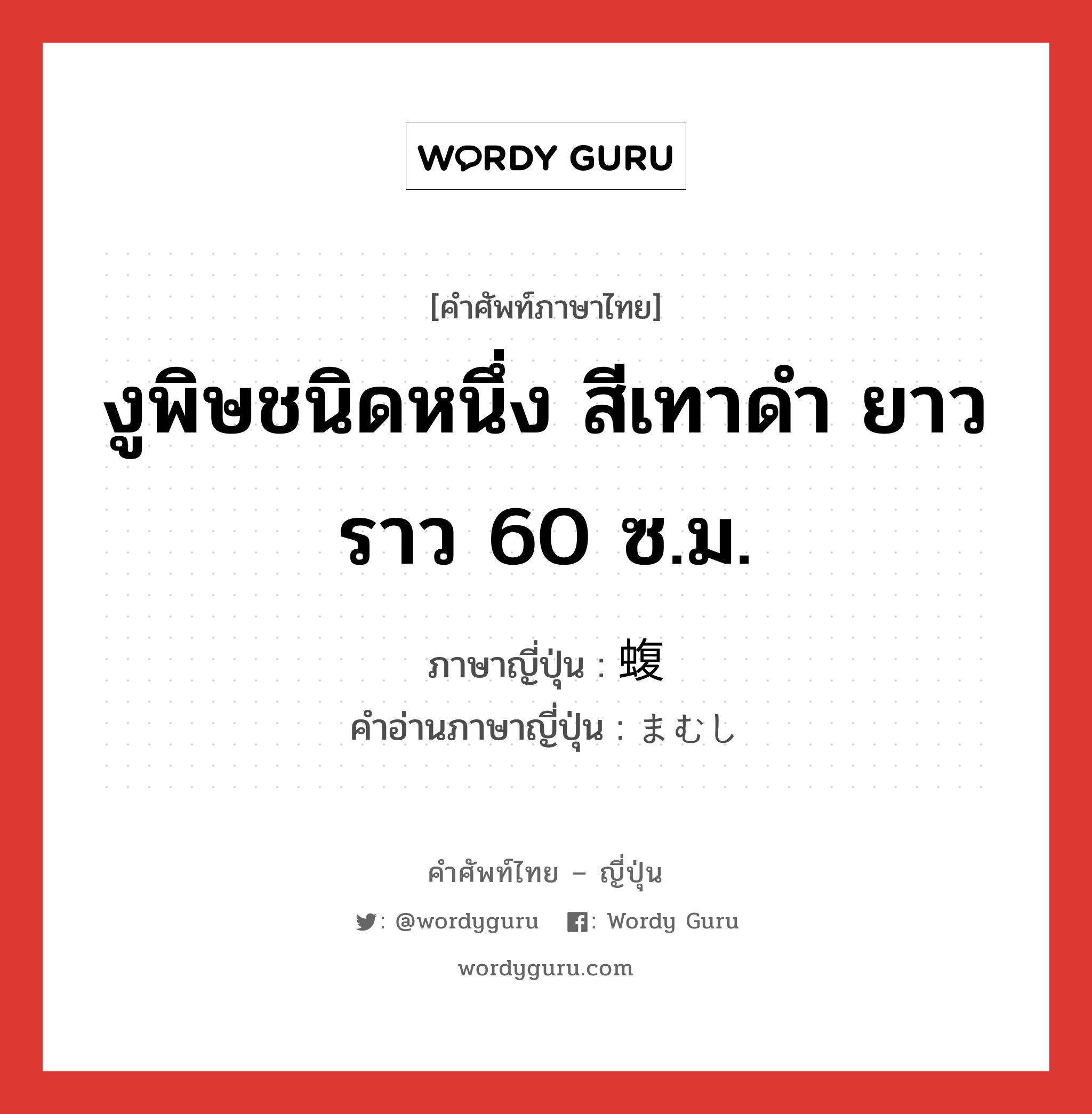 งูพิษชนิดหนึ่ง สีเทาดำ ยาวราว 60 ซ.ม. ภาษาญี่ปุ่นคืออะไร, คำศัพท์ภาษาไทย - ญี่ปุ่น งูพิษชนิดหนึ่ง สีเทาดำ ยาวราว 60 ซ.ม. ภาษาญี่ปุ่น 蝮 คำอ่านภาษาญี่ปุ่น まむし หมวด n หมวด n