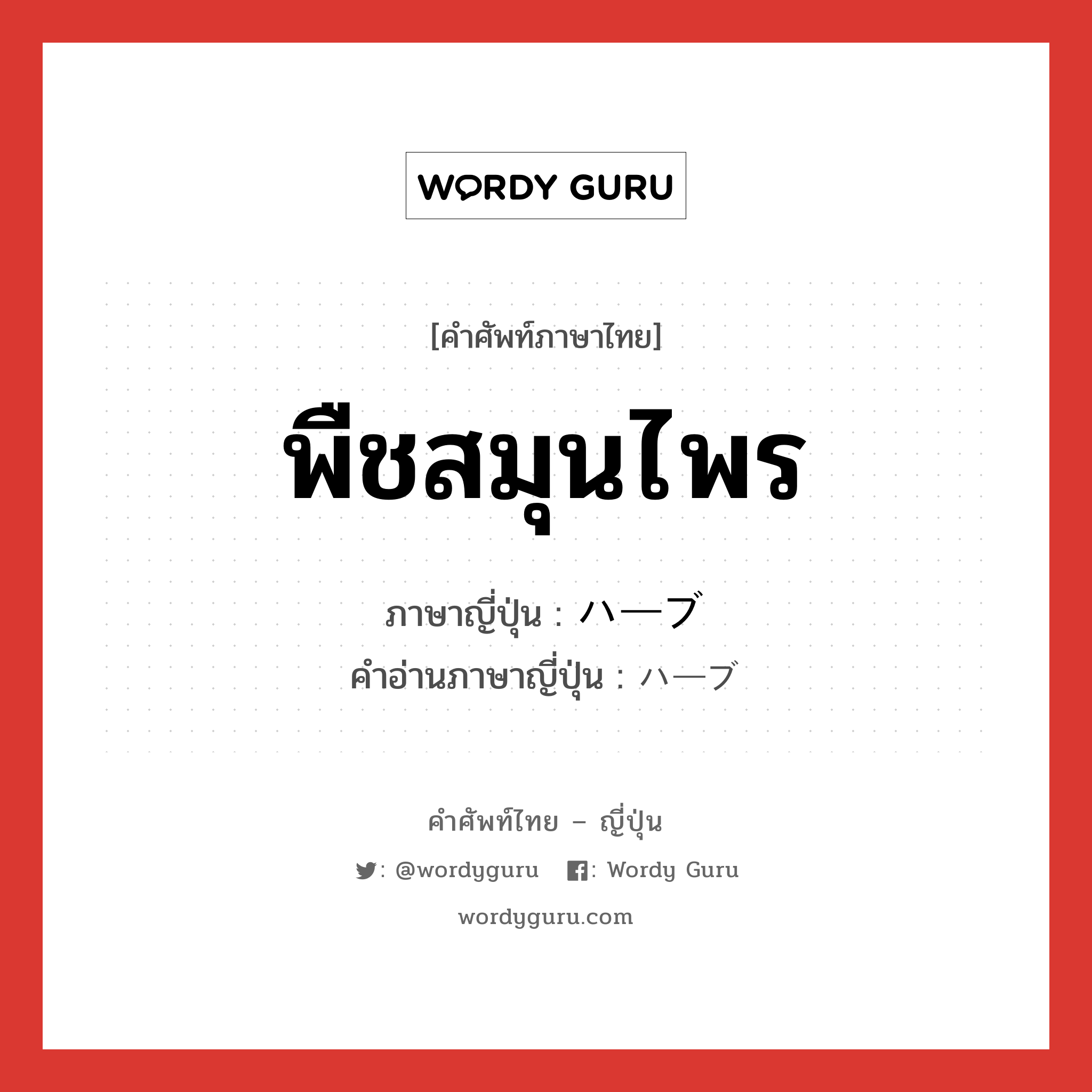 พืชสมุนไพร ภาษาญี่ปุ่นคืออะไร, คำศัพท์ภาษาไทย - ญี่ปุ่น พืชสมุนไพร ภาษาญี่ปุ่น ハーブ คำอ่านภาษาญี่ปุ่น ハーブ หมวด n หมวด n