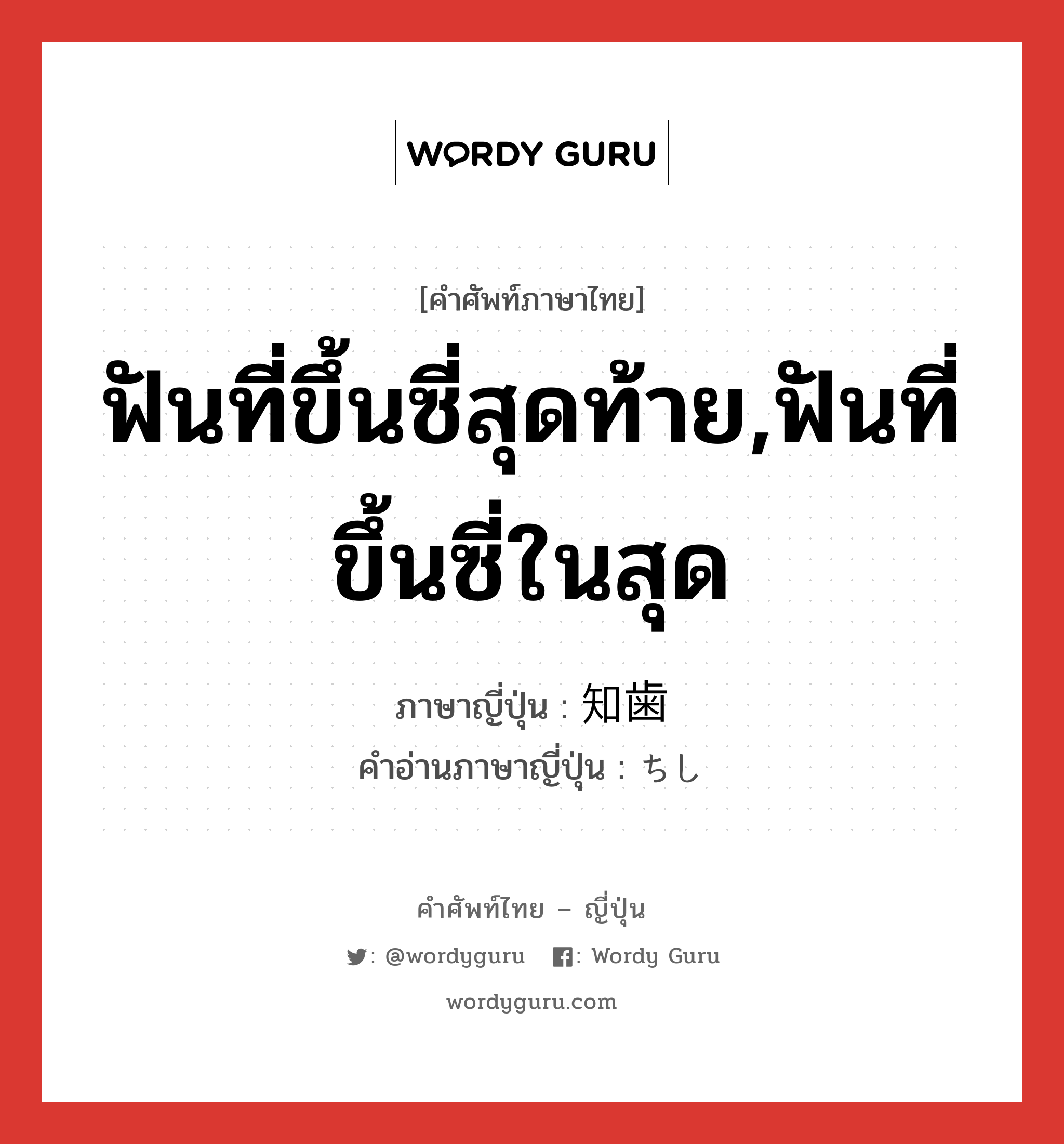 ฟันที่ขึ้นซี่สุดท้าย,ฟันที่ขึ้นซี่ในสุด ภาษาญี่ปุ่นคืออะไร, คำศัพท์ภาษาไทย - ญี่ปุ่น ฟันที่ขึ้นซี่สุดท้าย,ฟันที่ขึ้นซี่ในสุด ภาษาญี่ปุ่น 知歯 คำอ่านภาษาญี่ปุ่น ちし หมวด n หมวด n