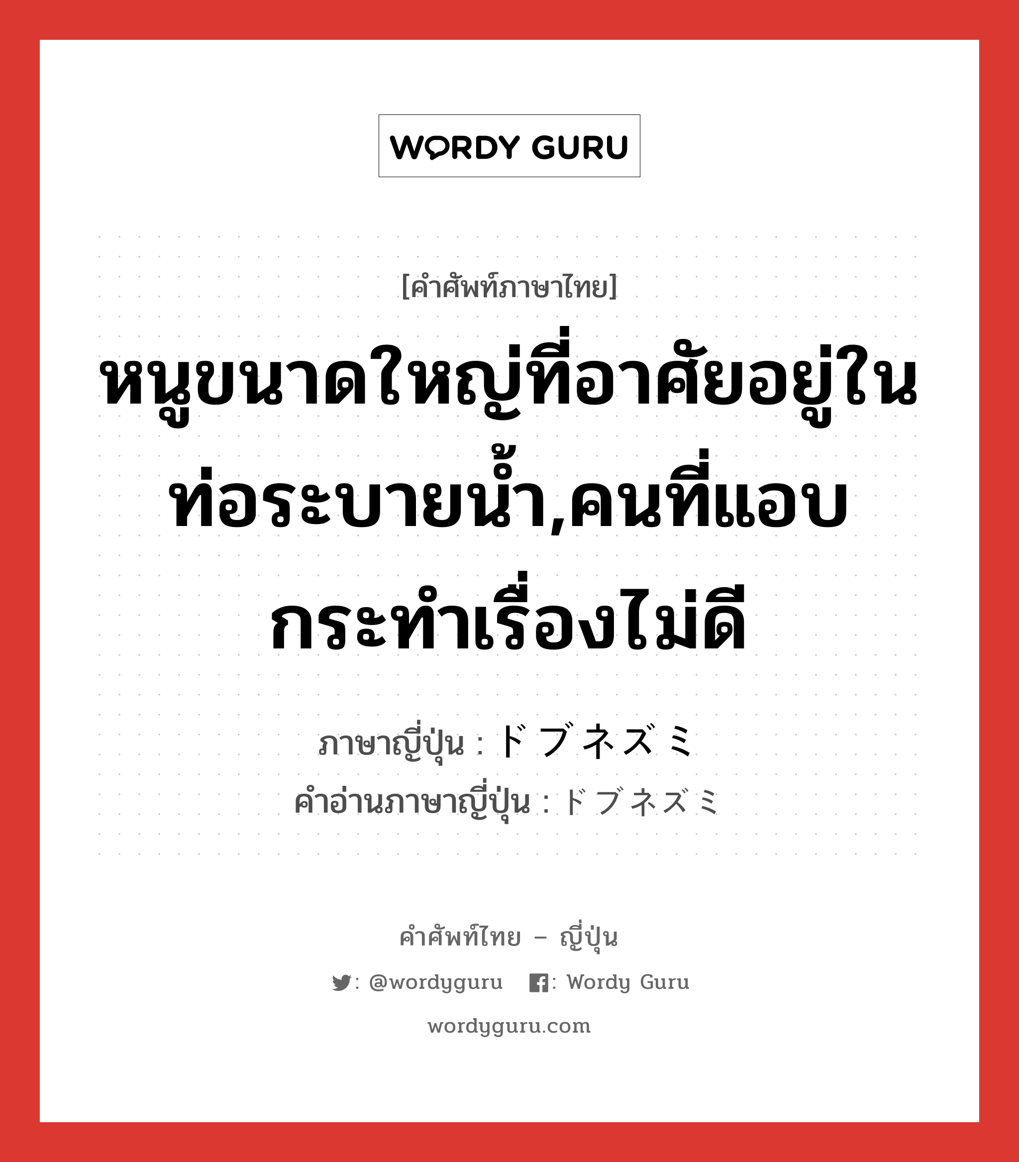 หนูขนาดใหญ่ที่อาศัยอยู่ในท่อระบายน้ำ,คนที่แอบกระทำเรื่องไม่ดี ภาษาญี่ปุ่นคืออะไร, คำศัพท์ภาษาไทย - ญี่ปุ่น หนูขนาดใหญ่ที่อาศัยอยู่ในท่อระบายน้ำ,คนที่แอบกระทำเรื่องไม่ดี ภาษาญี่ปุ่น ドブネズミ คำอ่านภาษาญี่ปุ่น ドブネズミ หมวด n หมวด n