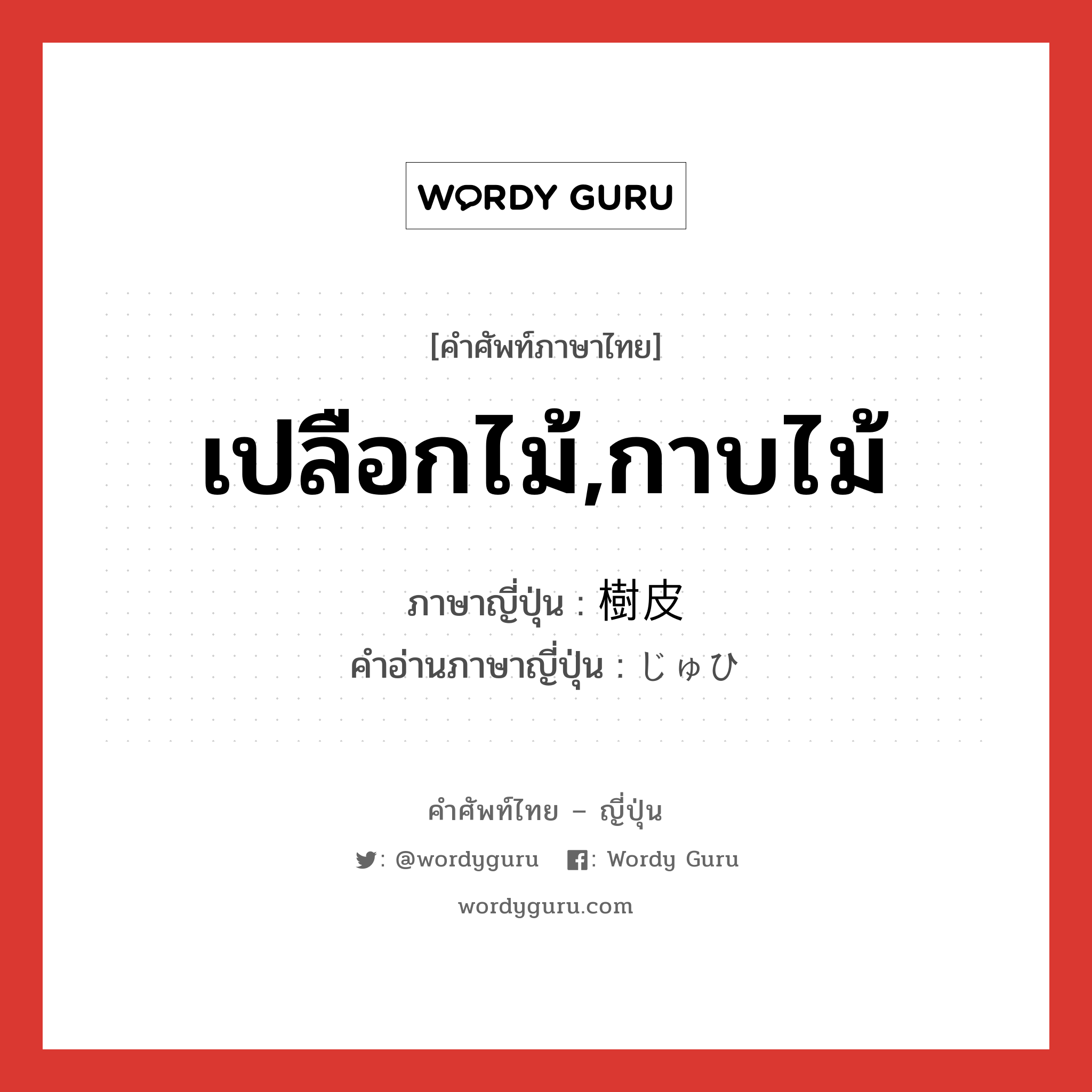 เปลือกไม้,กาบไม้ ภาษาญี่ปุ่นคืออะไร, คำศัพท์ภาษาไทย - ญี่ปุ่น เปลือกไม้,กาบไม้ ภาษาญี่ปุ่น 樹皮 คำอ่านภาษาญี่ปุ่น じゅひ หมวด n หมวด n