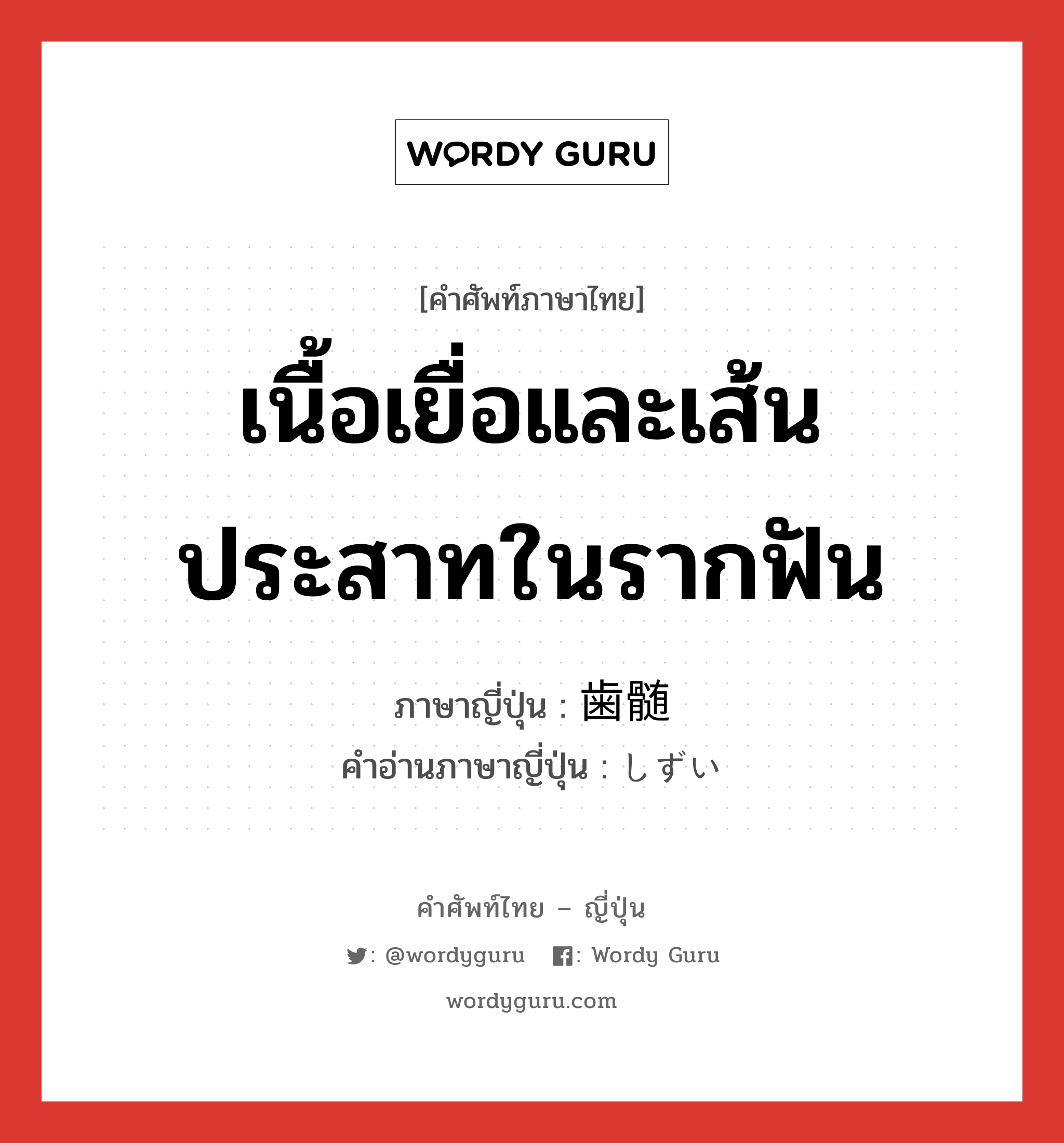 เนื้อเยื่อและเส้นประสาทในรากฟัน ภาษาญี่ปุ่นคืออะไร, คำศัพท์ภาษาไทย - ญี่ปุ่น เนื้อเยื่อและเส้นประสาทในรากฟัน ภาษาญี่ปุ่น 歯髄 คำอ่านภาษาญี่ปุ่น しずい หมวด n หมวด n