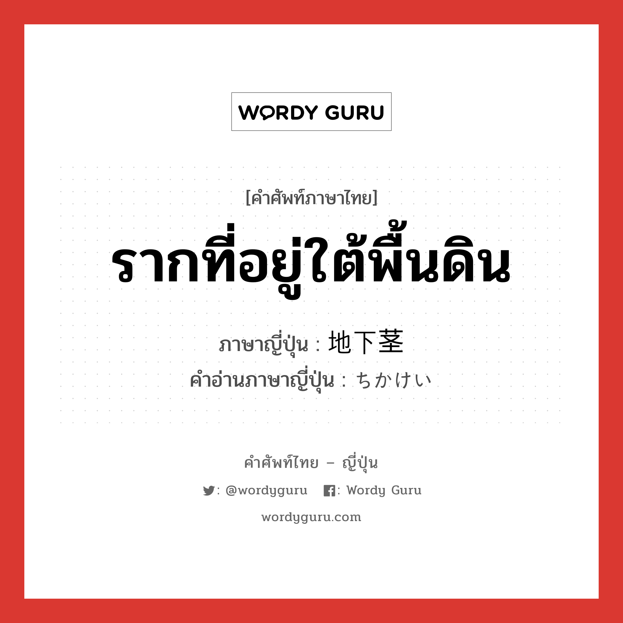 รากที่อยู่ใต้พื้นดิน ภาษาญี่ปุ่นคืออะไร, คำศัพท์ภาษาไทย - ญี่ปุ่น รากที่อยู่ใต้พื้นดิน ภาษาญี่ปุ่น 地下茎 คำอ่านภาษาญี่ปุ่น ちかけい หมวด n หมวด n