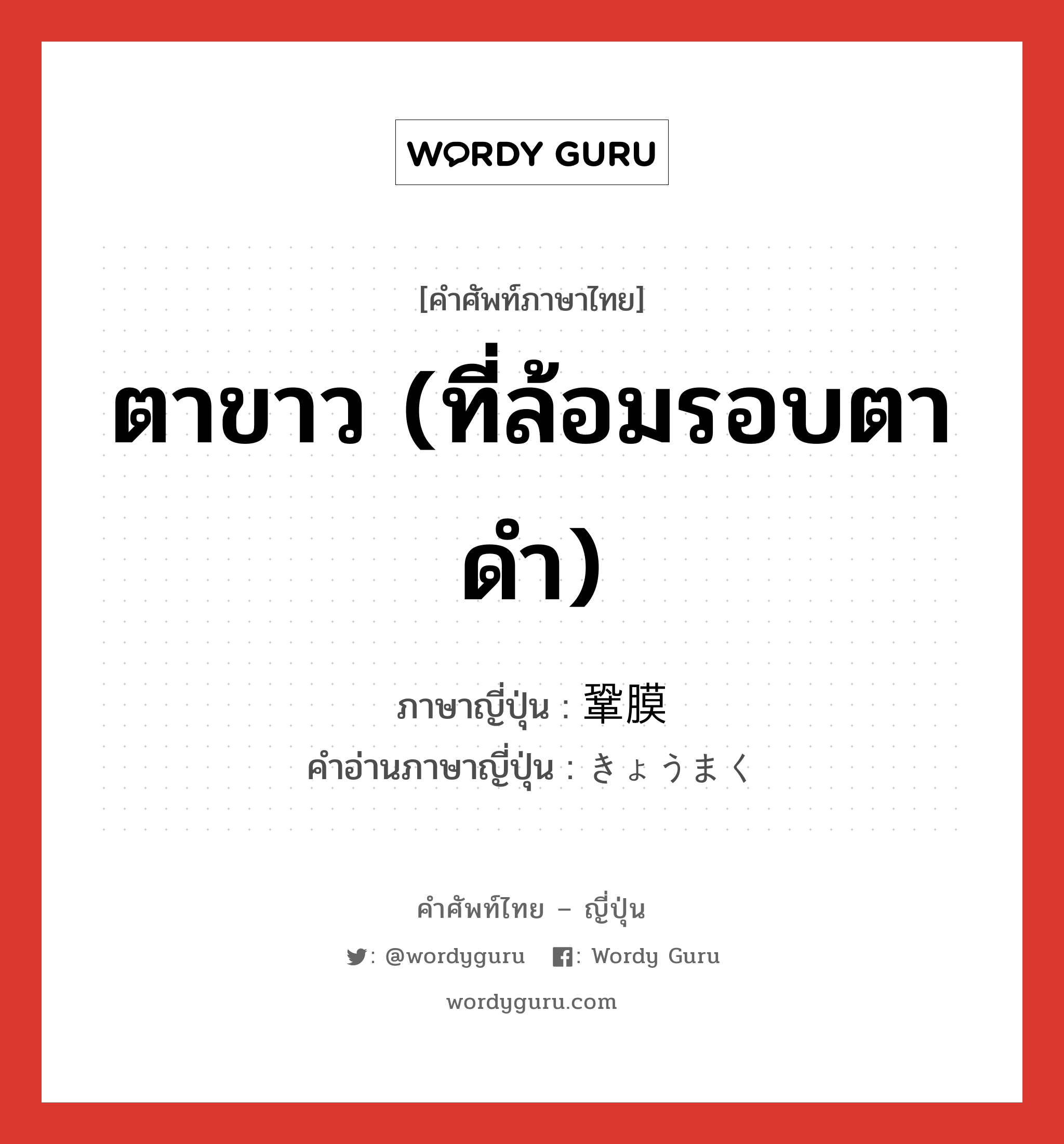 ตาขาว (ที่ล้อมรอบตาดำ) ภาษาญี่ปุ่นคืออะไร, คำศัพท์ภาษาไทย - ญี่ปุ่น ตาขาว (ที่ล้อมรอบตาดำ) ภาษาญี่ปุ่น 鞏膜 คำอ่านภาษาญี่ปุ่น きょうまく หมวด n หมวด n