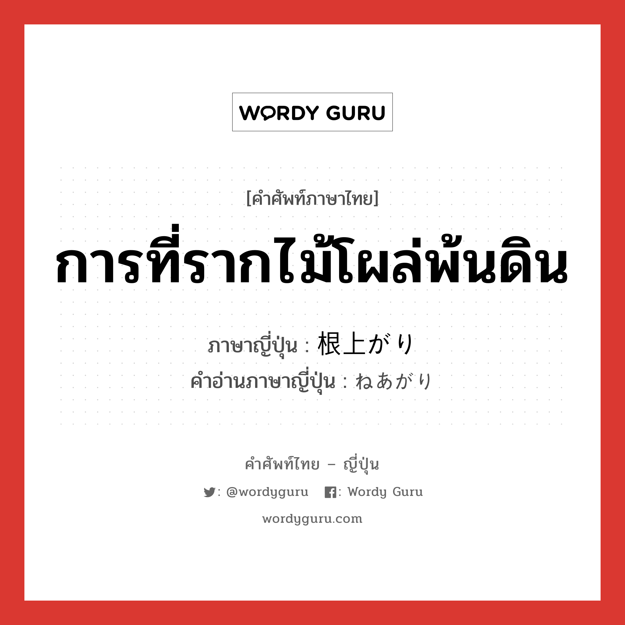 การที่รากไม้โผล่พ้นดิน ภาษาญี่ปุ่นคืออะไร, คำศัพท์ภาษาไทย - ญี่ปุ่น การที่รากไม้โผล่พ้นดิน ภาษาญี่ปุ่น 根上がり คำอ่านภาษาญี่ปุ่น ねあがり หมวด n หมวด n