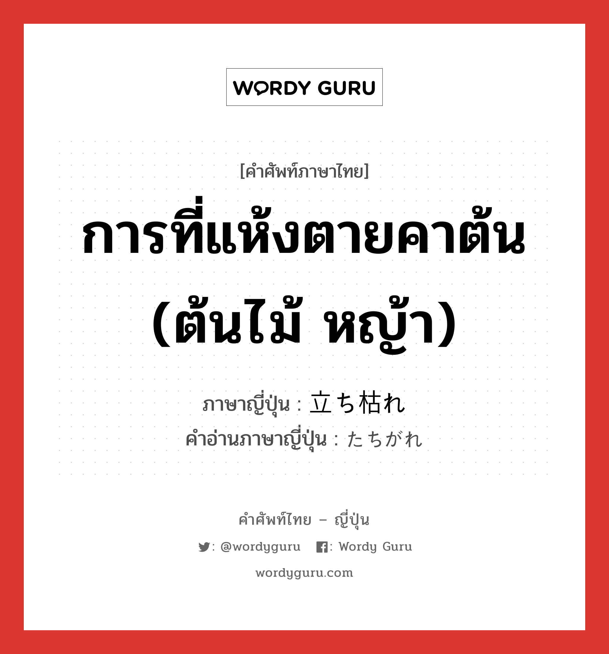 การที่แห้งตายคาต้น (ต้นไม้ หญ้า) ภาษาญี่ปุ่นคืออะไร, คำศัพท์ภาษาไทย - ญี่ปุ่น การที่แห้งตายคาต้น (ต้นไม้ หญ้า) ภาษาญี่ปุ่น 立ち枯れ คำอ่านภาษาญี่ปุ่น たちがれ หมวด n หมวด n