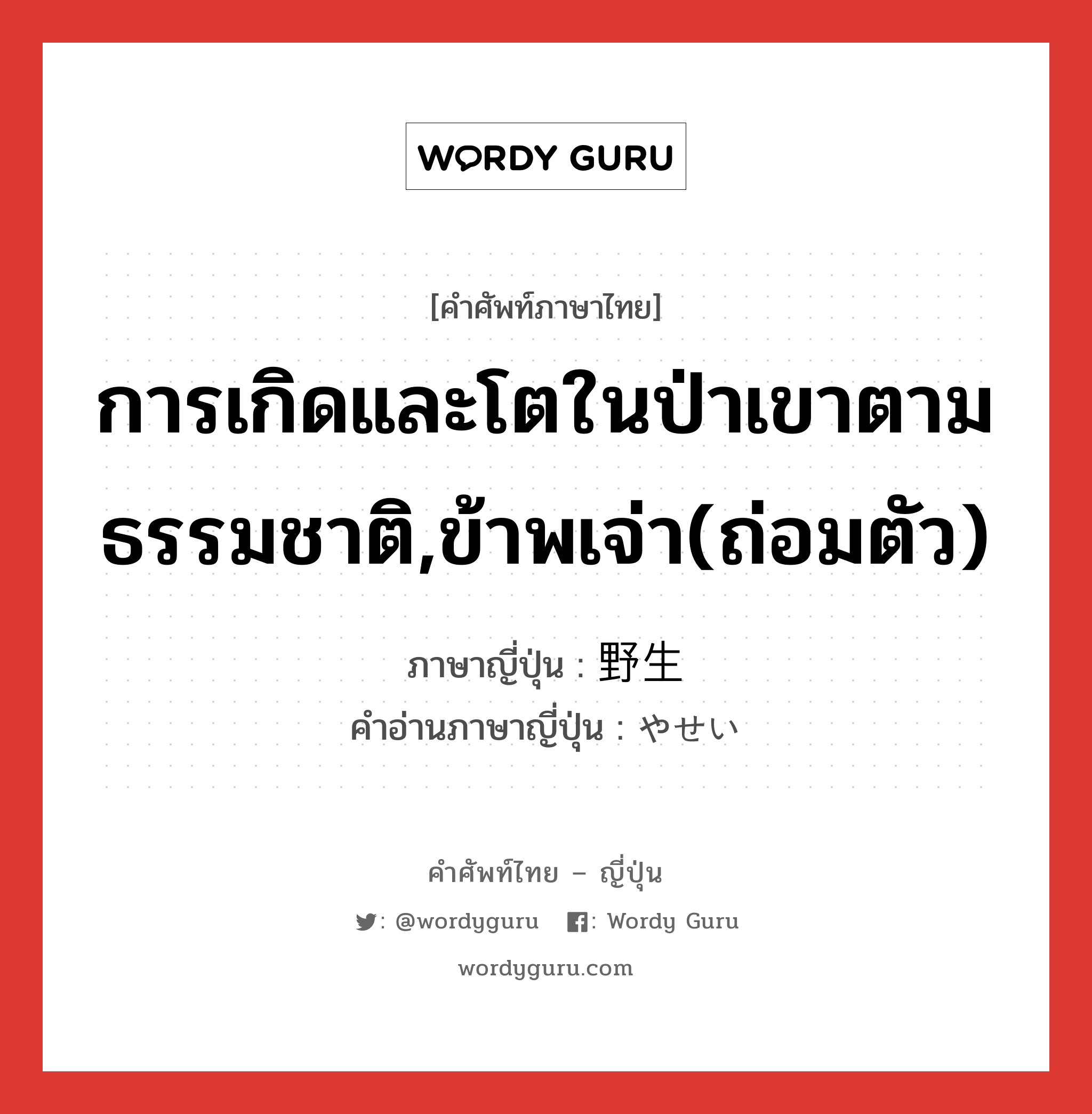 การเกิดและโตในป่าเขาตามธรรมชาติ,ข้าพเจ่า(ถ่อมตัว) ภาษาญี่ปุ่นคืออะไร, คำศัพท์ภาษาไทย - ญี่ปุ่น การเกิดและโตในป่าเขาตามธรรมชาติ,ข้าพเจ่า(ถ่อมตัว) ภาษาญี่ปุ่น 野生 คำอ่านภาษาญี่ปุ่น やせい หมวด n หมวด n