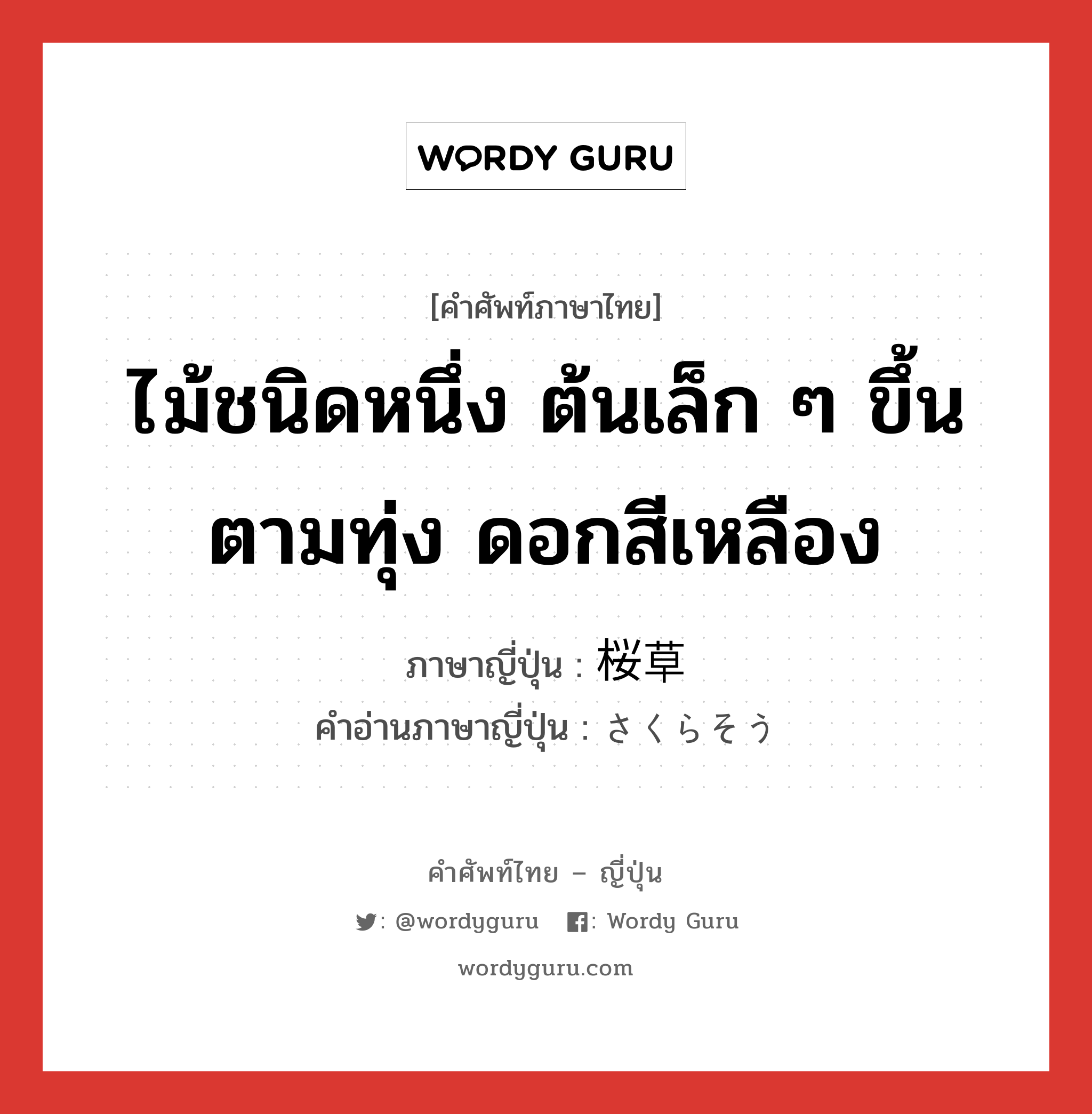 ไม้ชนิดหนึ่ง ต้นเล็ก ๆ ขึ้นตามทุ่ง ดอกสีเหลือง ภาษาญี่ปุ่นคืออะไร, คำศัพท์ภาษาไทย - ญี่ปุ่น ไม้ชนิดหนึ่ง ต้นเล็ก ๆ ขึ้นตามทุ่ง ดอกสีเหลือง ภาษาญี่ปุ่น 桜草 คำอ่านภาษาญี่ปุ่น さくらそう หมวด n หมวด n