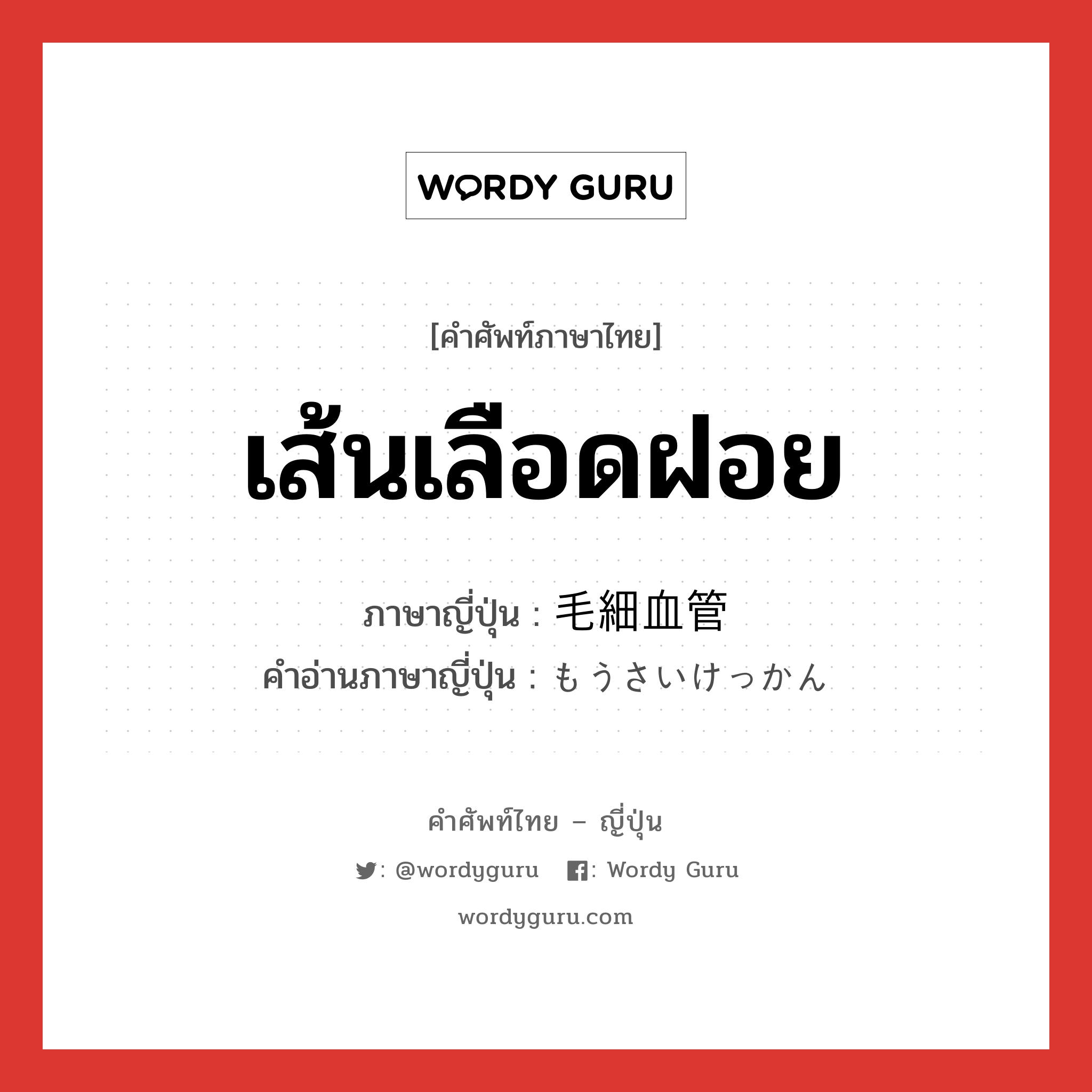 เส้นเลือดฝอย ภาษาญี่ปุ่นคืออะไร, คำศัพท์ภาษาไทย - ญี่ปุ่น เส้นเลือดฝอย ภาษาญี่ปุ่น 毛細血管 คำอ่านภาษาญี่ปุ่น もうさいけっかん หมวด n หมวด n