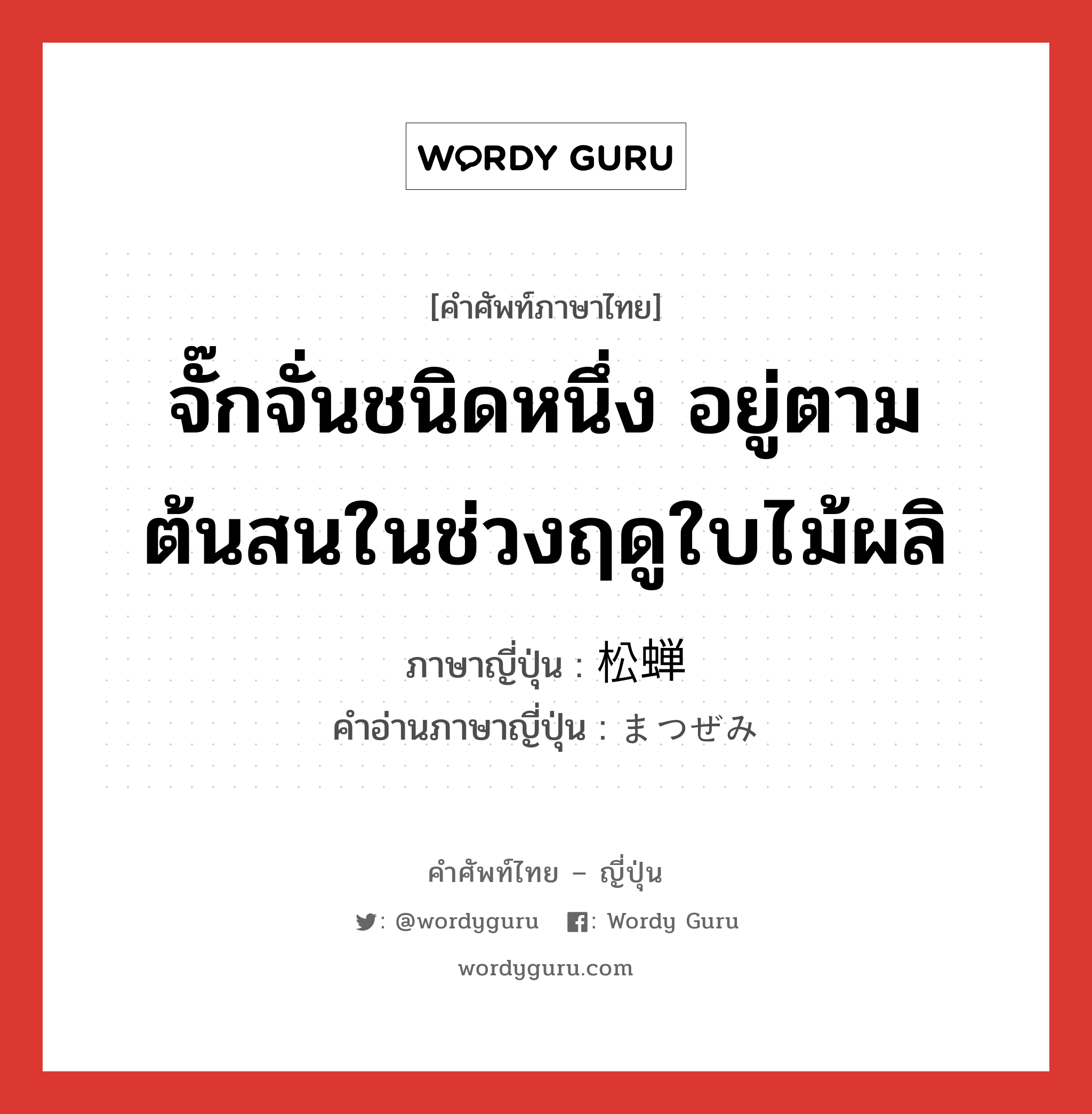 จั๊กจั่นชนิดหนึ่ง อยู่ตามต้นสนในช่วงฤดูใบไม้ผลิ ภาษาญี่ปุ่นคืออะไร, คำศัพท์ภาษาไทย - ญี่ปุ่น จั๊กจั่นชนิดหนึ่ง อยู่ตามต้นสนในช่วงฤดูใบไม้ผลิ ภาษาญี่ปุ่น 松蝉 คำอ่านภาษาญี่ปุ่น まつぜみ หมวด n หมวด n