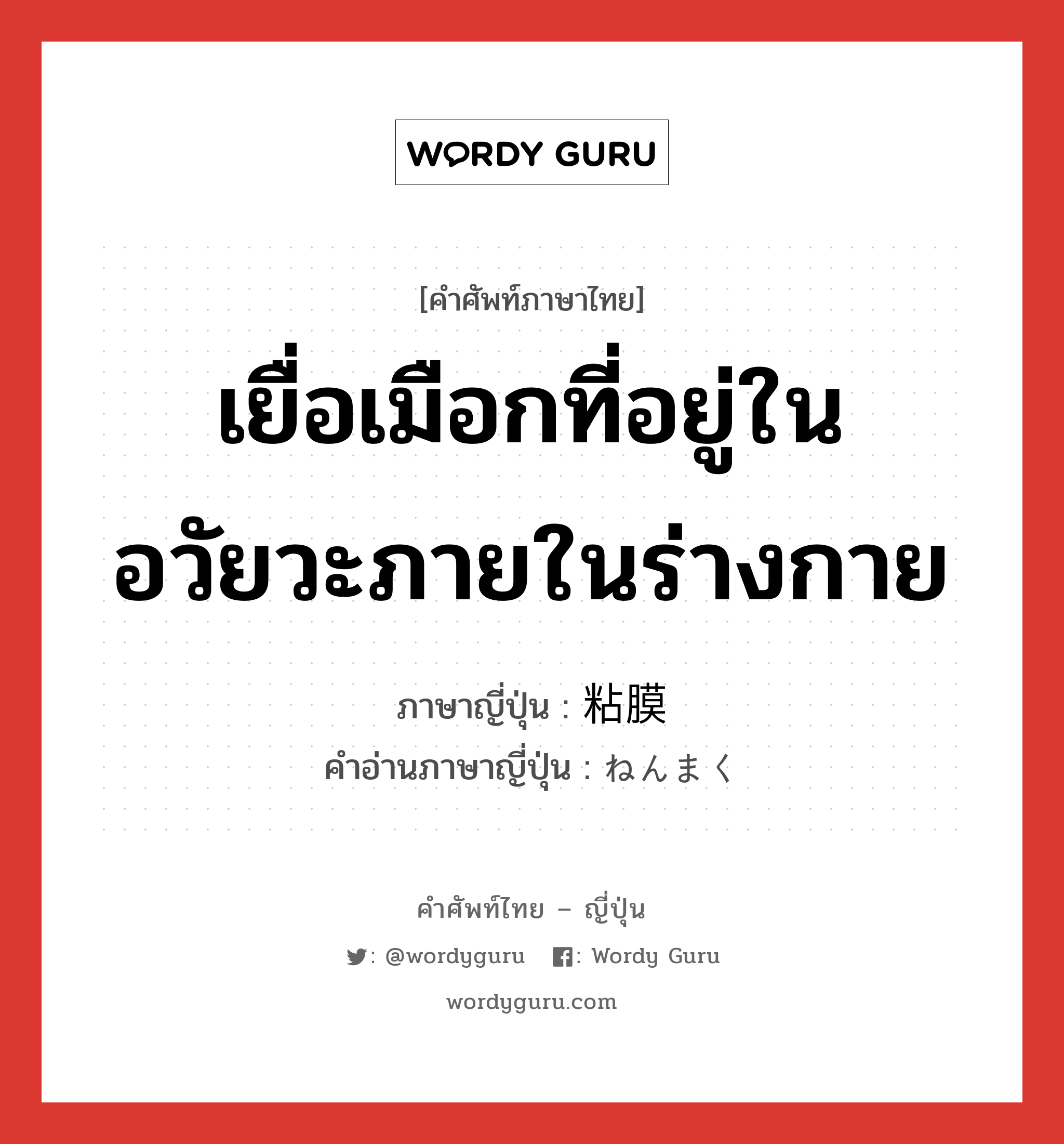 เยื่อเมือกที่อยู่ในอวัยวะภายในร่างกาย ภาษาญี่ปุ่นคืออะไร, คำศัพท์ภาษาไทย - ญี่ปุ่น เยื่อเมือกที่อยู่ในอวัยวะภายในร่างกาย ภาษาญี่ปุ่น 粘膜 คำอ่านภาษาญี่ปุ่น ねんまく หมวด n หมวด n