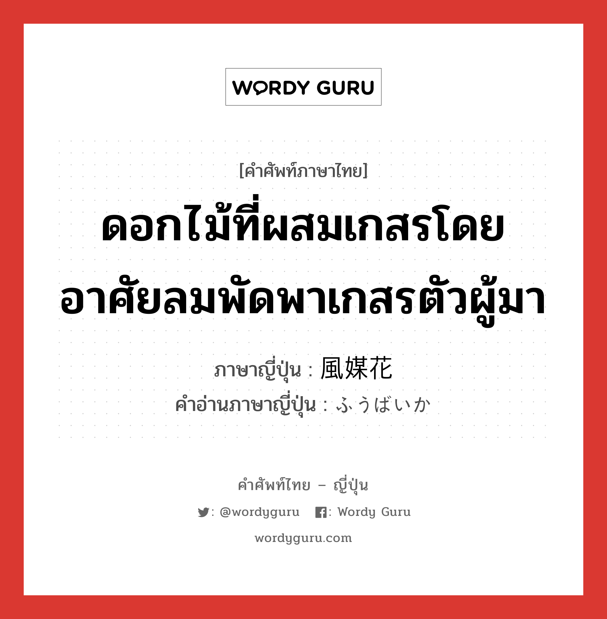 ดอกไม้ที่ผสมเกสรโดยอาศัยลมพัดพาเกสรตัวผู้มา ภาษาญี่ปุ่นคืออะไร, คำศัพท์ภาษาไทย - ญี่ปุ่น ดอกไม้ที่ผสมเกสรโดยอาศัยลมพัดพาเกสรตัวผู้มา ภาษาญี่ปุ่น 風媒花 คำอ่านภาษาญี่ปุ่น ふうばいか หมวด n หมวด n