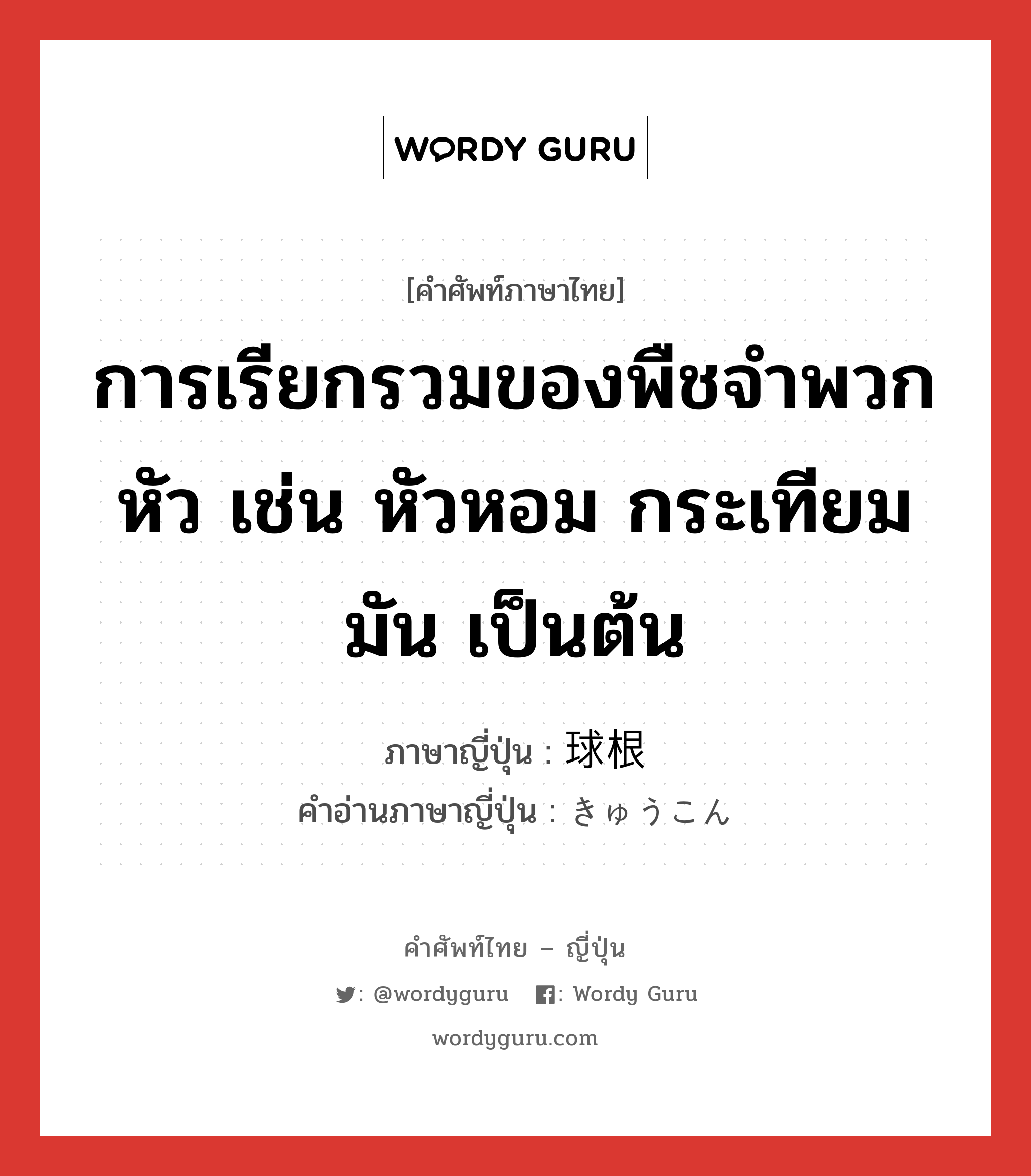 การเรียกรวมของพืชจำพวกหัว เช่น หัวหอม กระเทียม มัน เป็นต้น ภาษาญี่ปุ่นคืออะไร, คำศัพท์ภาษาไทย - ญี่ปุ่น การเรียกรวมของพืชจำพวกหัว เช่น หัวหอม กระเทียม มัน เป็นต้น ภาษาญี่ปุ่น 球根 คำอ่านภาษาญี่ปุ่น きゅうこん หมวด n หมวด n