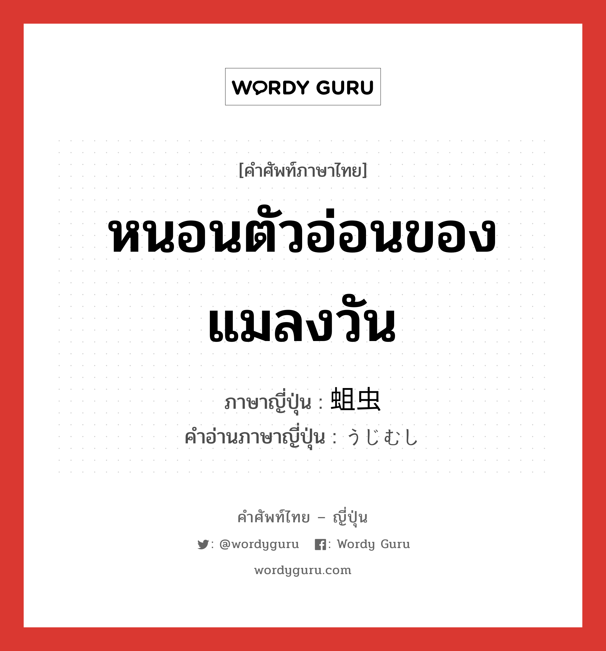 หนอนตัวอ่อนของแมลงวัน ภาษาญี่ปุ่นคืออะไร, คำศัพท์ภาษาไทย - ญี่ปุ่น หนอนตัวอ่อนของแมลงวัน ภาษาญี่ปุ่น 蛆虫 คำอ่านภาษาญี่ปุ่น うじむし หมวด n หมวด n