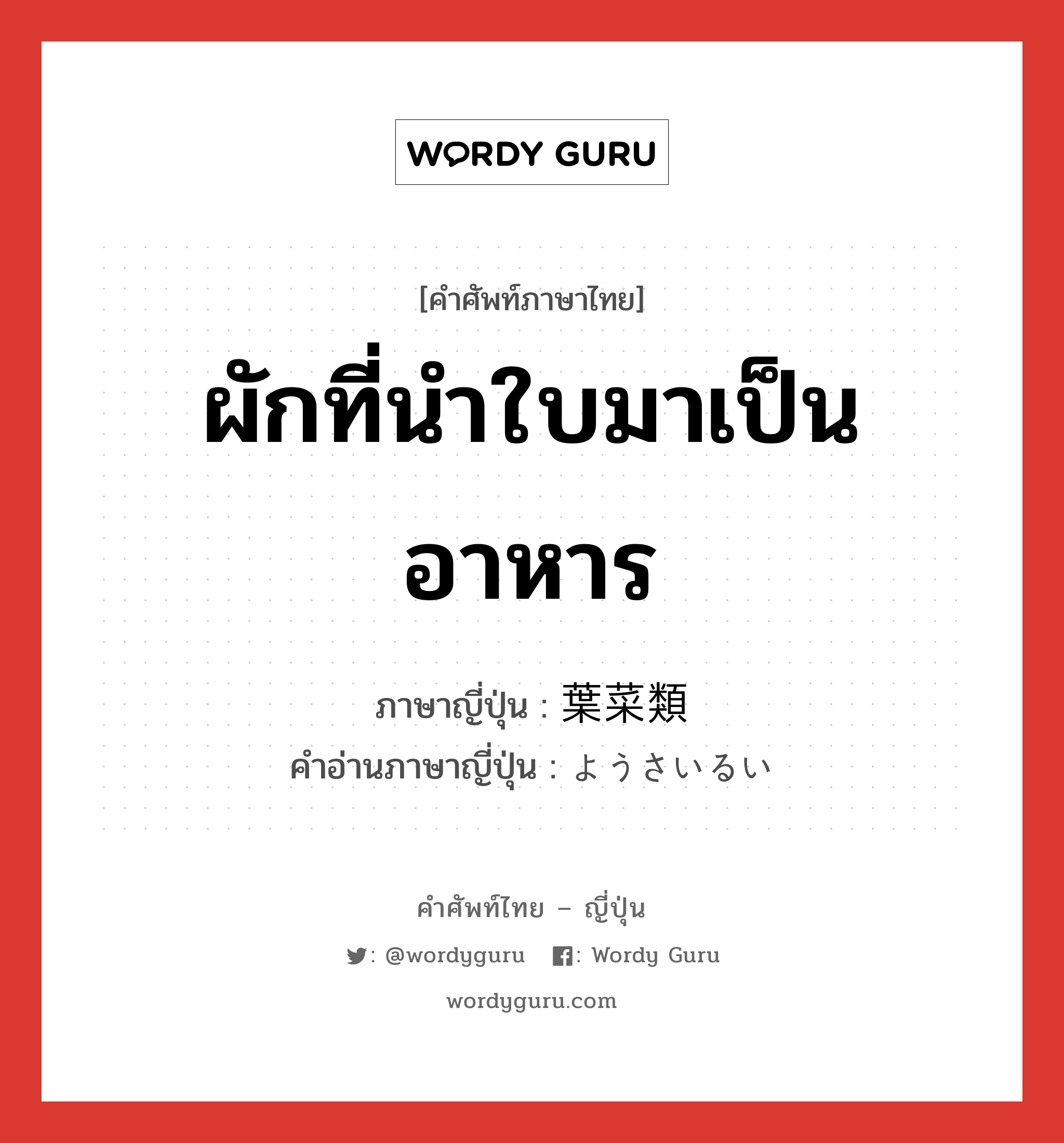 ผักที่นำใบมาเป็นอาหาร ภาษาญี่ปุ่นคืออะไร, คำศัพท์ภาษาไทย - ญี่ปุ่น ผักที่นำใบมาเป็นอาหาร ภาษาญี่ปุ่น 葉菜類 คำอ่านภาษาญี่ปุ่น ようさいるい หมวด n หมวด n