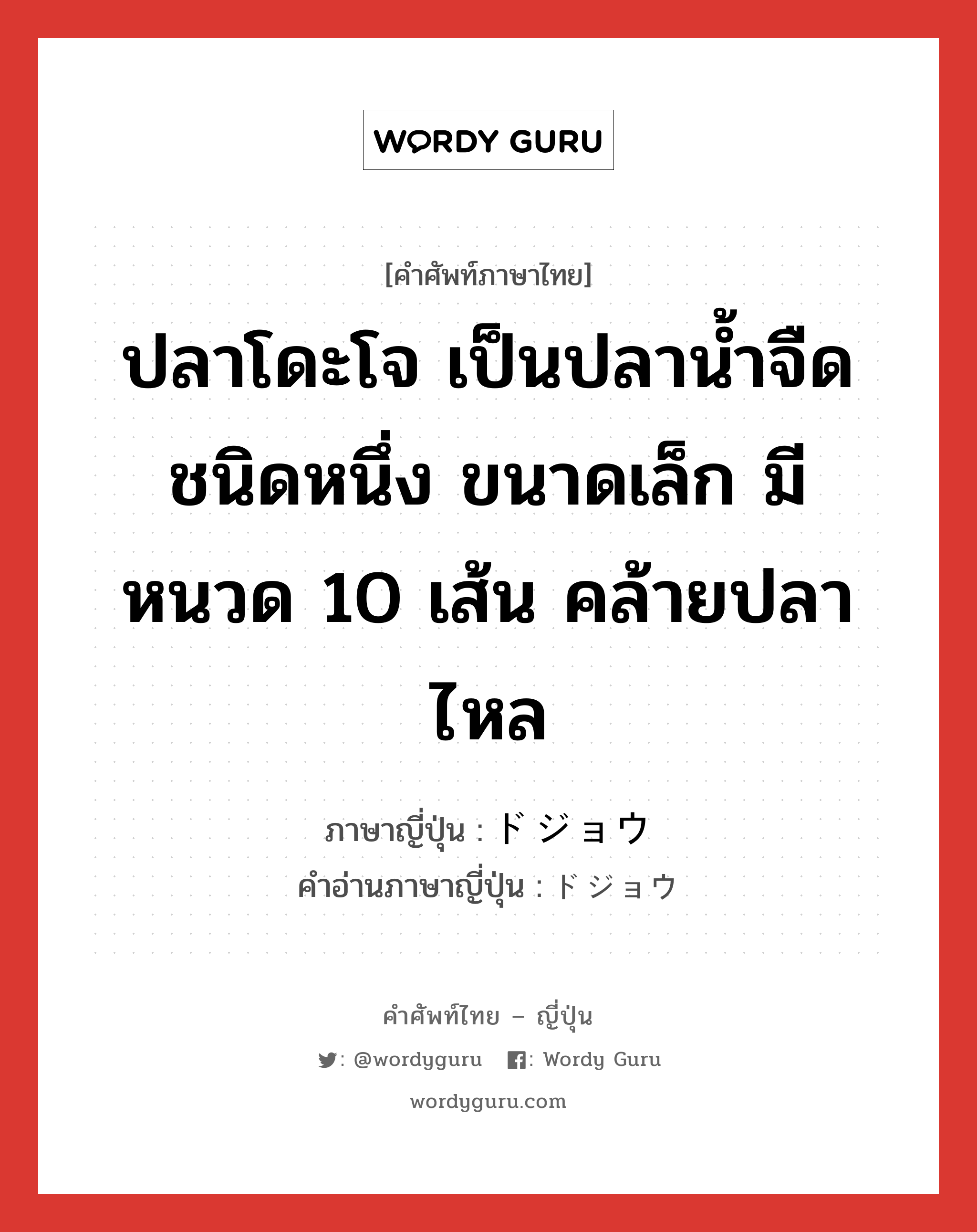 ปลาโดะโจ เป็นปลาน้ำจืดชนิดหนึ่ง ขนาดเล็ก มีหนวด 10 เส้น คล้ายปลาไหล ภาษาญี่ปุ่นคืออะไร, คำศัพท์ภาษาไทย - ญี่ปุ่น ปลาโดะโจ เป็นปลาน้ำจืดชนิดหนึ่ง ขนาดเล็ก มีหนวด 10 เส้น คล้ายปลาไหล ภาษาญี่ปุ่น ドジョウ คำอ่านภาษาญี่ปุ่น ドジョウ หมวด n หมวด n