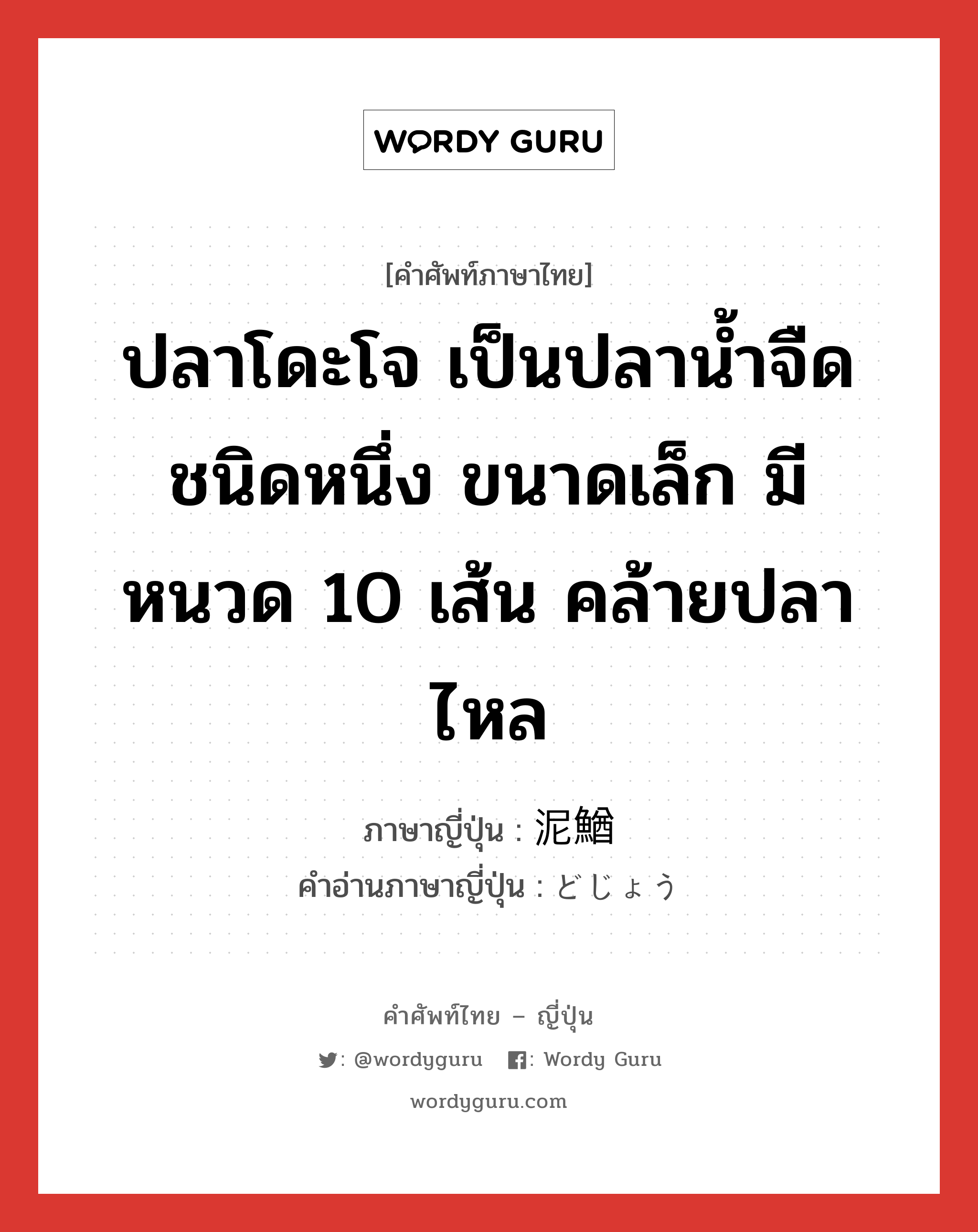 ปลาโดะโจ เป็นปลาน้ำจืดชนิดหนึ่ง ขนาดเล็ก มีหนวด 10 เส้น คล้ายปลาไหล ภาษาญี่ปุ่นคืออะไร, คำศัพท์ภาษาไทย - ญี่ปุ่น ปลาโดะโจ เป็นปลาน้ำจืดชนิดหนึ่ง ขนาดเล็ก มีหนวด 10 เส้น คล้ายปลาไหล ภาษาญี่ปุ่น 泥鰌 คำอ่านภาษาญี่ปุ่น どじょう หมวด n หมวด n