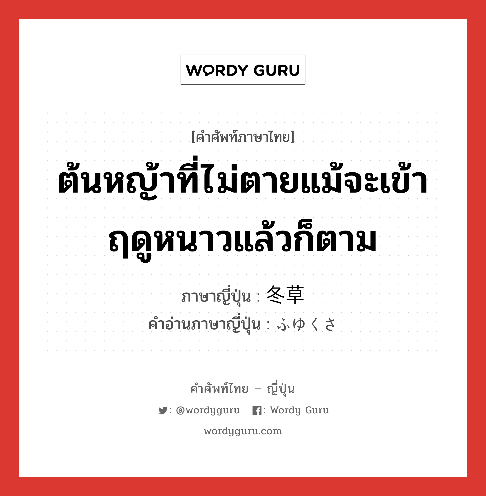 ต้นหญ้าที่ไม่ตายแม้จะเข้าฤดูหนาวแล้วก็ตาม ภาษาญี่ปุ่นคืออะไร, คำศัพท์ภาษาไทย - ญี่ปุ่น ต้นหญ้าที่ไม่ตายแม้จะเข้าฤดูหนาวแล้วก็ตาม ภาษาญี่ปุ่น 冬草 คำอ่านภาษาญี่ปุ่น ふゆくさ หมวด n หมวด n