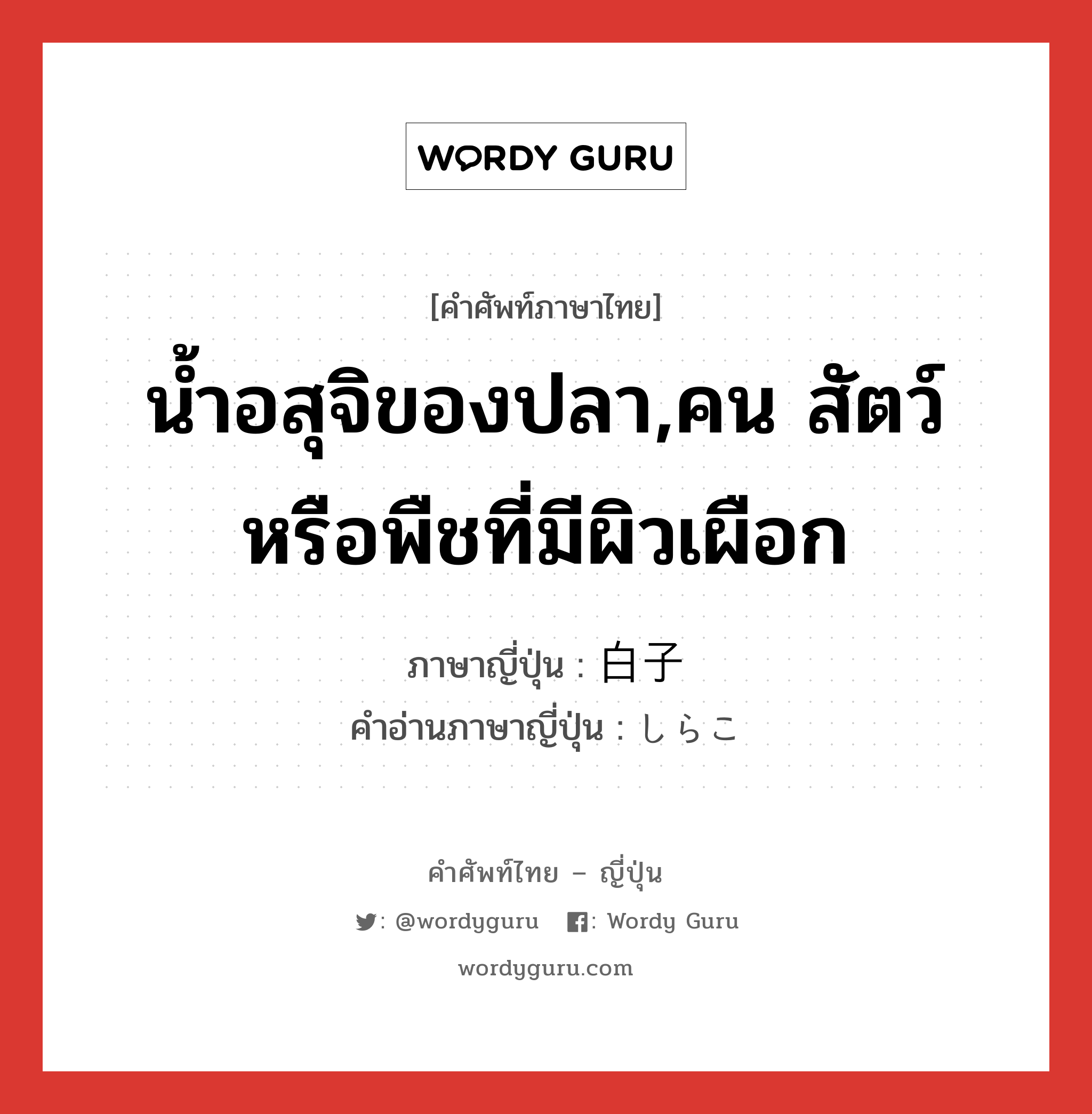 น้ำอสุจิของปลา,คน สัตว์หรือพืชที่มีผิวเผือก ภาษาญี่ปุ่นคืออะไร, คำศัพท์ภาษาไทย - ญี่ปุ่น น้ำอสุจิของปลา,คน สัตว์หรือพืชที่มีผิวเผือก ภาษาญี่ปุ่น 白子 คำอ่านภาษาญี่ปุ่น しらこ หมวด n หมวด n