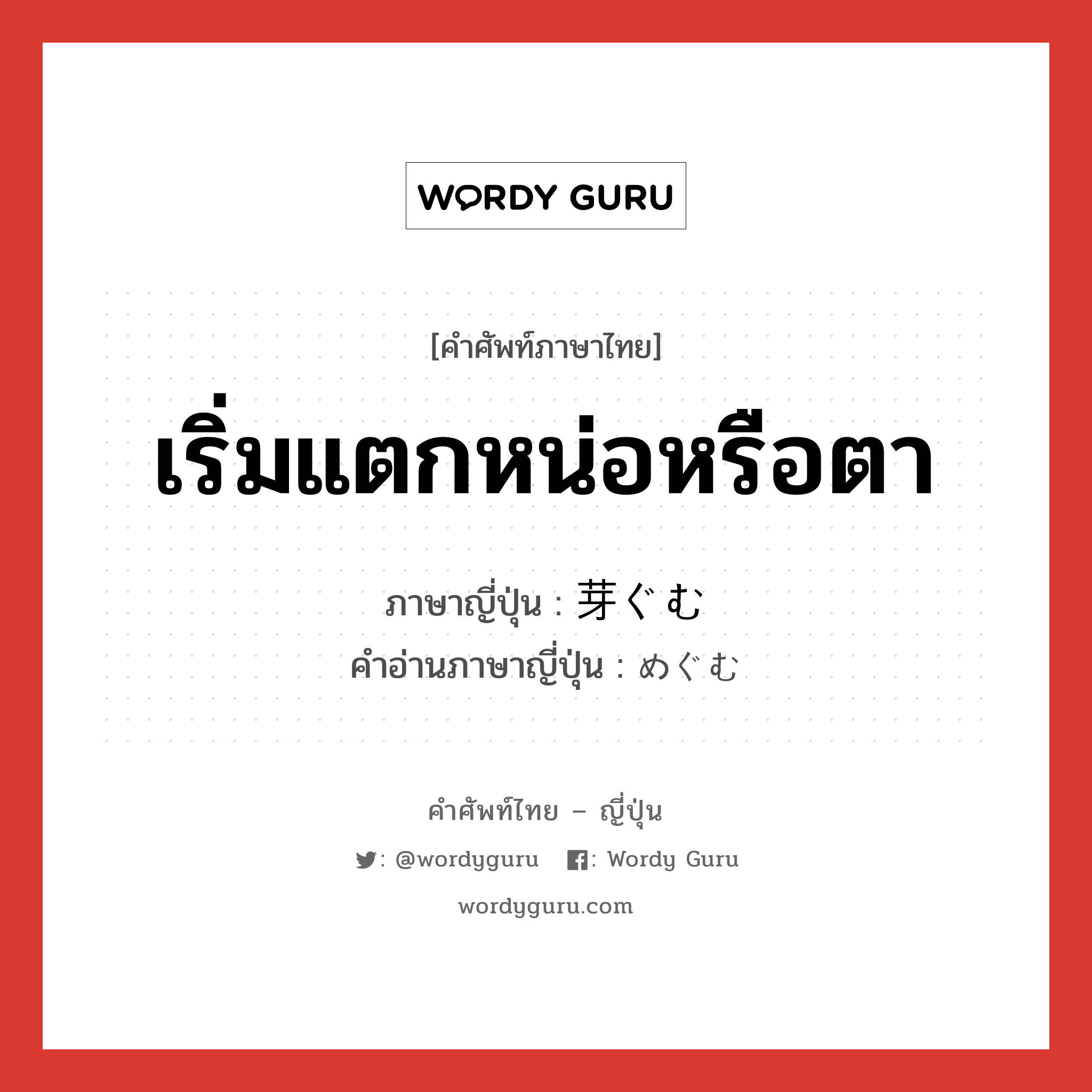 เริ่มแตกหน่อหรือตา ภาษาญี่ปุ่นคืออะไร, คำศัพท์ภาษาไทย - ญี่ปุ่น เริ่มแตกหน่อหรือตา ภาษาญี่ปุ่น 芽ぐむ คำอ่านภาษาญี่ปุ่น めぐむ หมวด v5m หมวด v5m