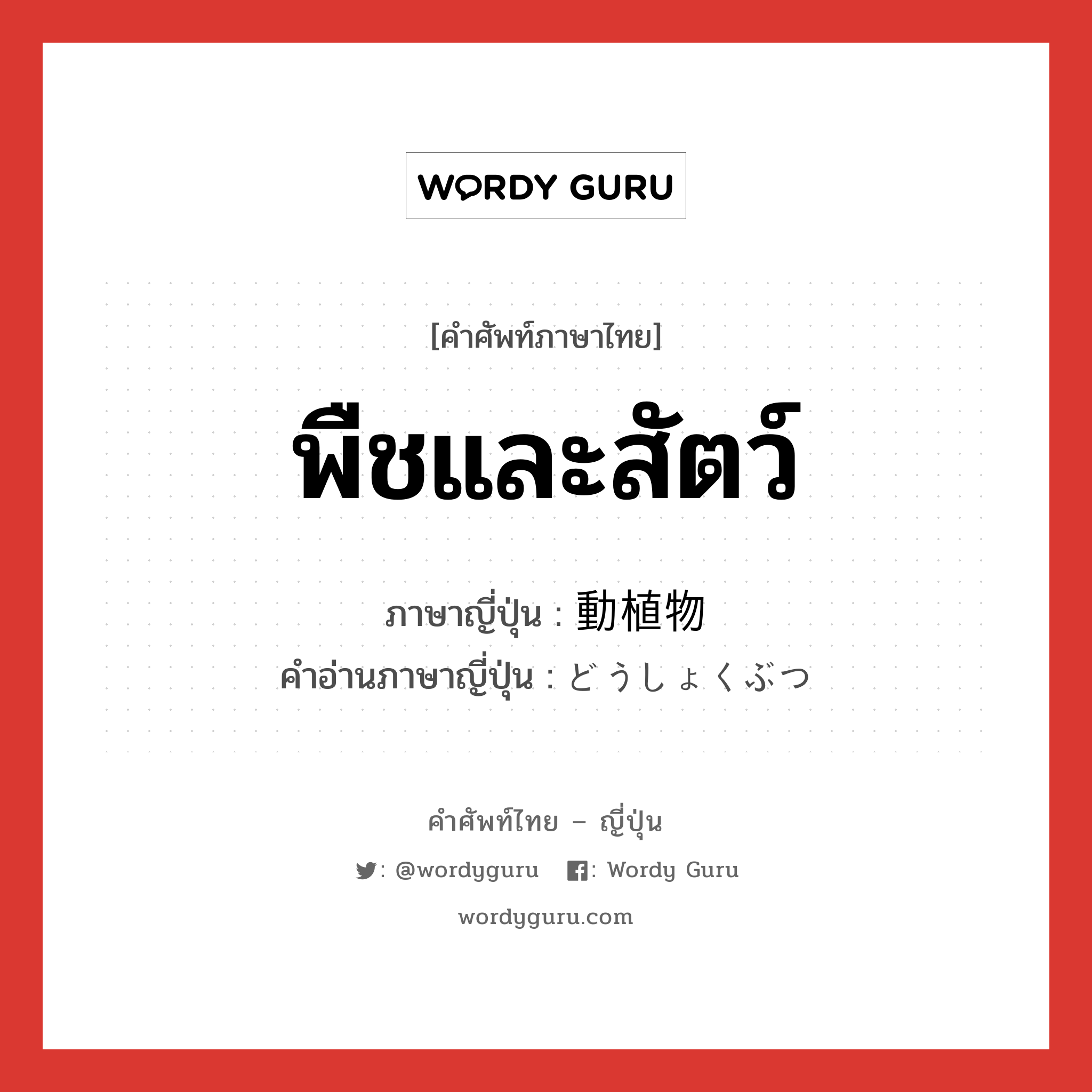 พืชและสัตว์ ภาษาญี่ปุ่นคืออะไร, คำศัพท์ภาษาไทย - ญี่ปุ่น พืชและสัตว์ ภาษาญี่ปุ่น 動植物 คำอ่านภาษาญี่ปุ่น どうしょくぶつ หมวด n หมวด n