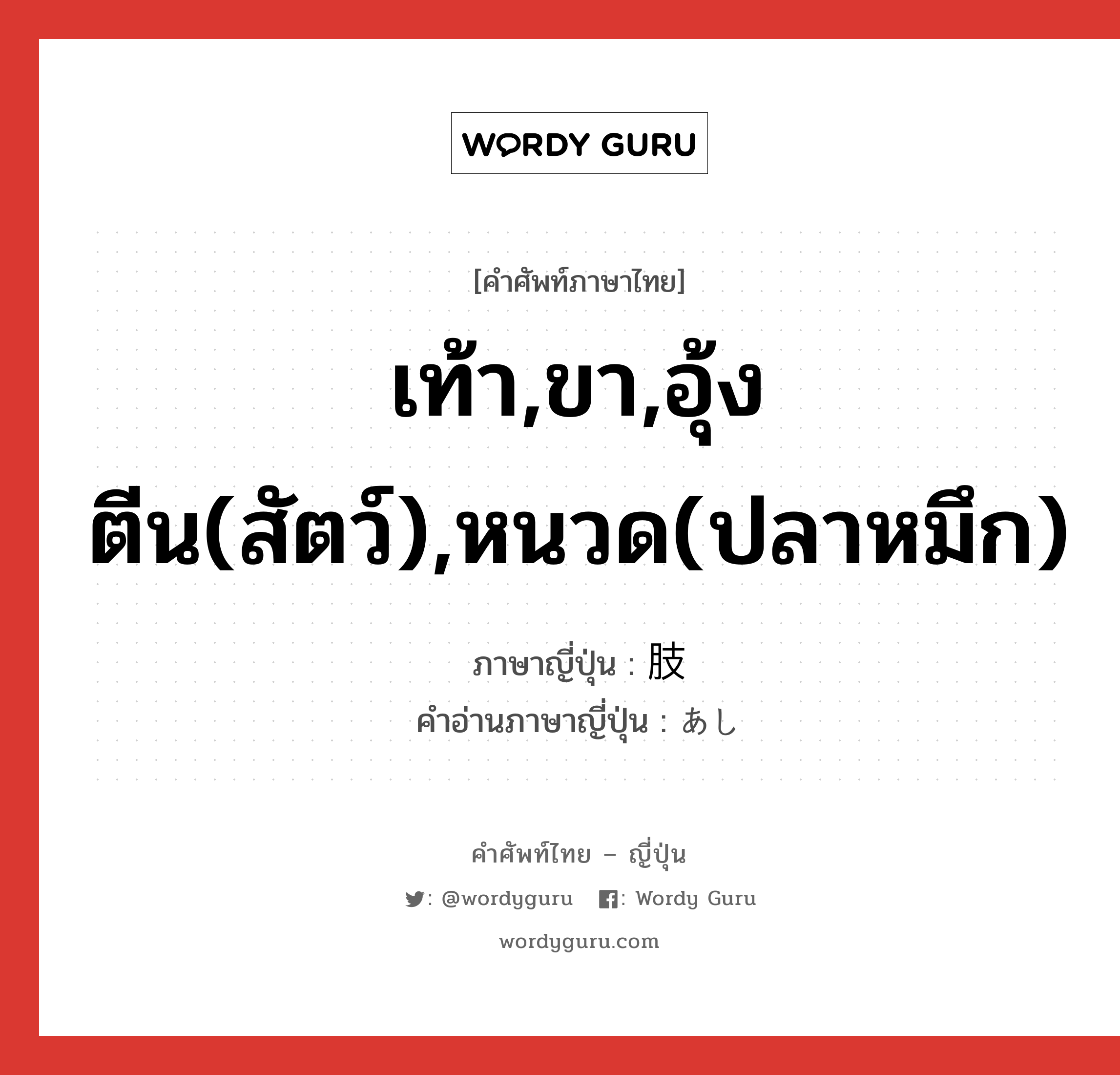 เท้า,ขา,อุ้งตีน(สัตว์),หนวด(ปลาหมึก) ภาษาญี่ปุ่นคืออะไร, คำศัพท์ภาษาไทย - ญี่ปุ่น เท้า,ขา,อุ้งตีน(สัตว์),หนวด(ปลาหมึก) ภาษาญี่ปุ่น 肢 คำอ่านภาษาญี่ปุ่น あし หมวด n หมวด n