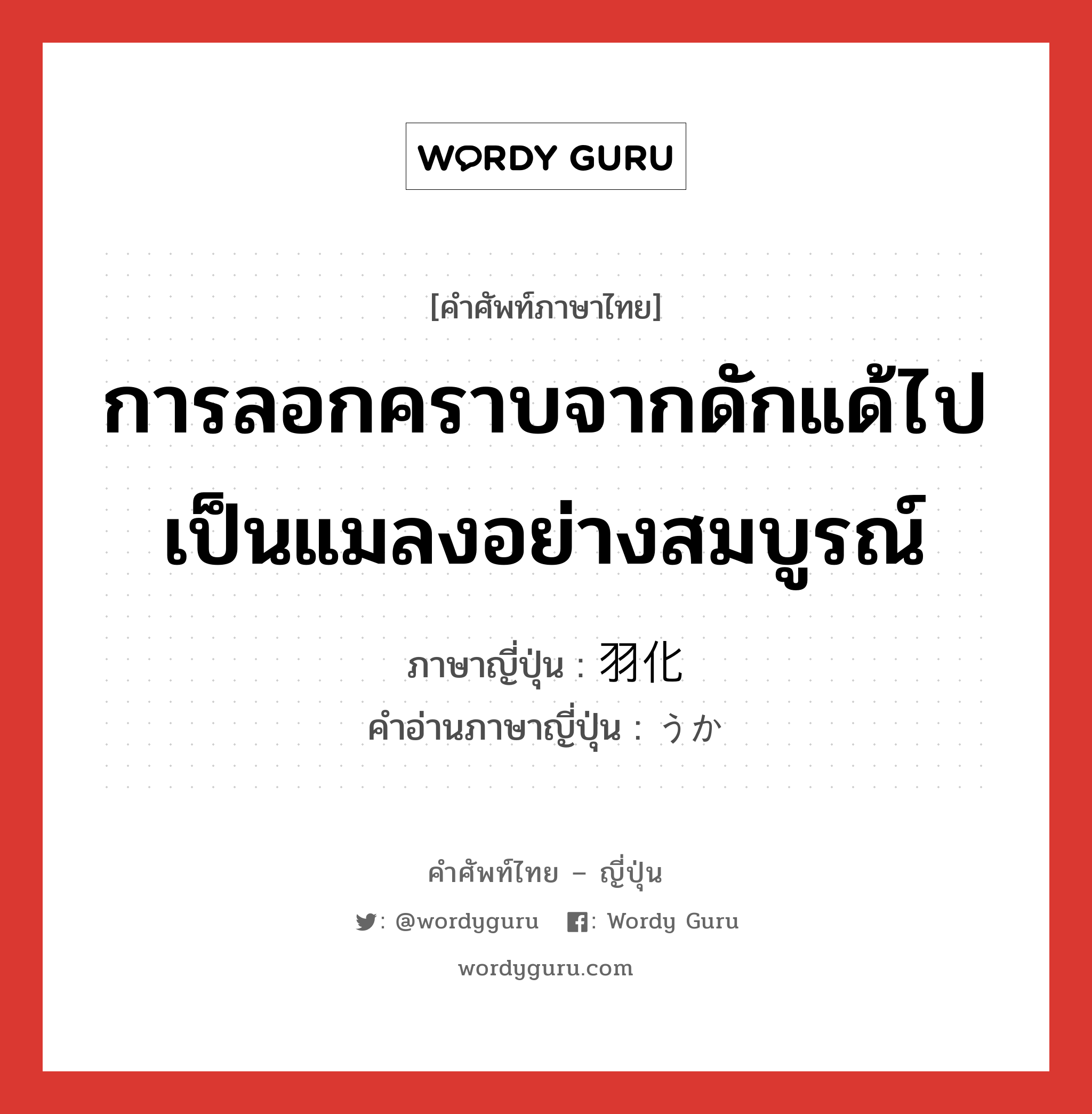 การลอกคราบจากดักแด้ไปเป็นแมลงอย่างสมบูรณ์ ภาษาญี่ปุ่นคืออะไร, คำศัพท์ภาษาไทย - ญี่ปุ่น การลอกคราบจากดักแด้ไปเป็นแมลงอย่างสมบูรณ์ ภาษาญี่ปุ่น 羽化 คำอ่านภาษาญี่ปุ่น うか หมวด n หมวด n