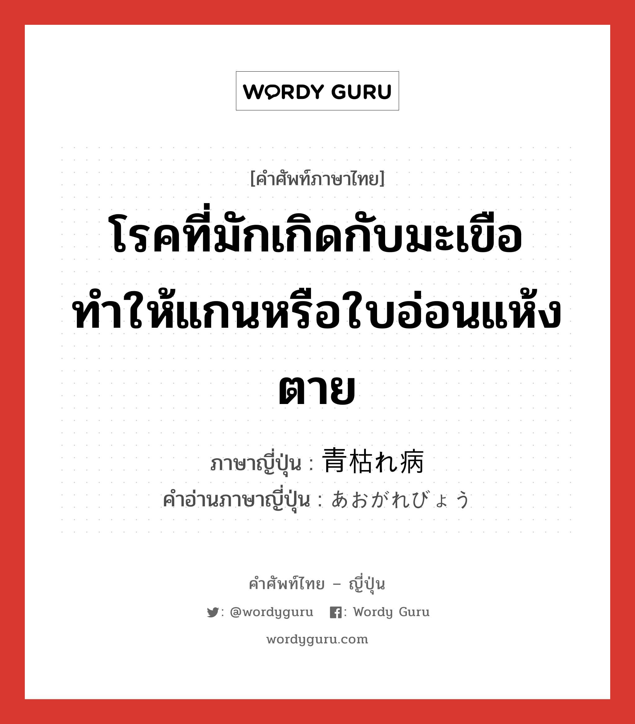 โรคที่มักเกิดกับมะเขือ ทำให้แกนหรือใบอ่อนแห้งตาย ภาษาญี่ปุ่นคืออะไร, คำศัพท์ภาษาไทย - ญี่ปุ่น โรคที่มักเกิดกับมะเขือ ทำให้แกนหรือใบอ่อนแห้งตาย ภาษาญี่ปุ่น 青枯れ病 คำอ่านภาษาญี่ปุ่น あおがれびょう หมวด n หมวด n