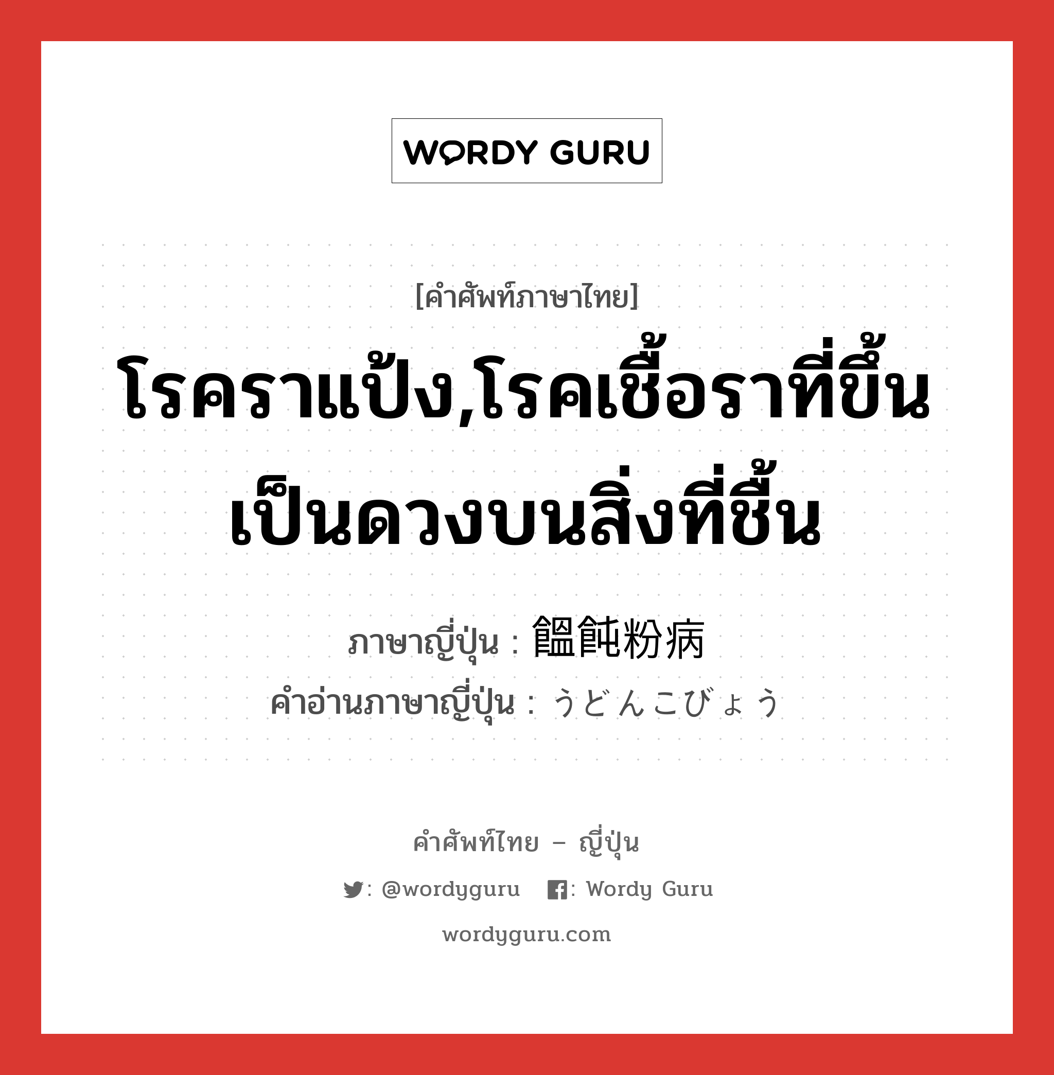 โรคราแป้ง,โรคเชื้อราที่ขึ้นเป็นดวงบนสิ่งที่ชื้น ภาษาญี่ปุ่นคืออะไร, คำศัพท์ภาษาไทย - ญี่ปุ่น โรคราแป้ง,โรคเชื้อราที่ขึ้นเป็นดวงบนสิ่งที่ชื้น ภาษาญี่ปุ่น 饂飩粉病 คำอ่านภาษาญี่ปุ่น うどんこびょう หมวด n หมวด n