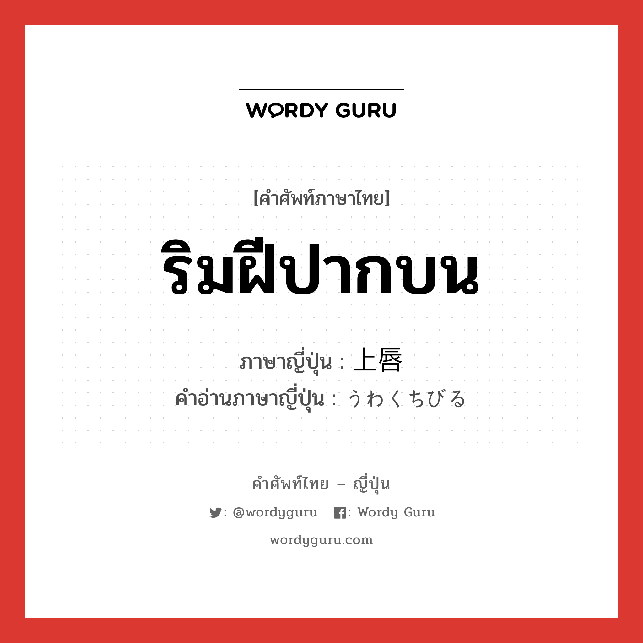 ริมฝีปากบน ภาษาญี่ปุ่นคืออะไร, คำศัพท์ภาษาไทย - ญี่ปุ่น ริมฝีปากบน ภาษาญี่ปุ่น 上唇 คำอ่านภาษาญี่ปุ่น うわくちびる หมวด n หมวด n