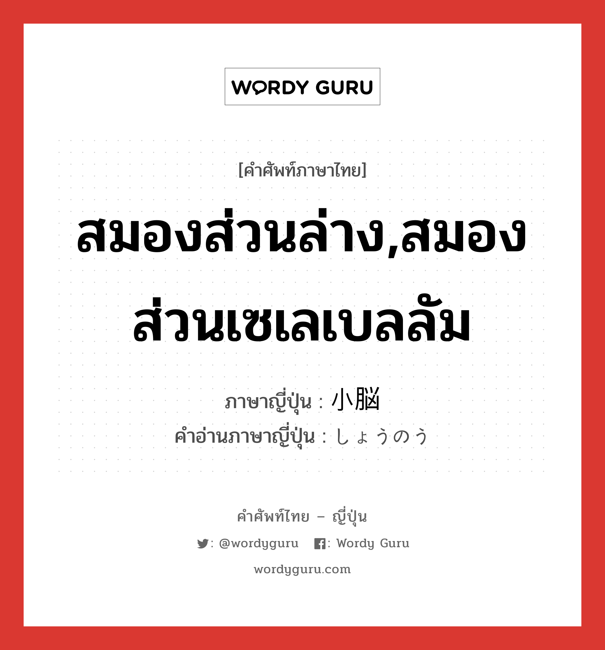 สมองส่วนล่าง,สมองส่วนเซเลเบลลัม ภาษาญี่ปุ่นคืออะไร, คำศัพท์ภาษาไทย - ญี่ปุ่น สมองส่วนล่าง,สมองส่วนเซเลเบลลัม ภาษาญี่ปุ่น 小脳 คำอ่านภาษาญี่ปุ่น しょうのう หมวด n หมวด n