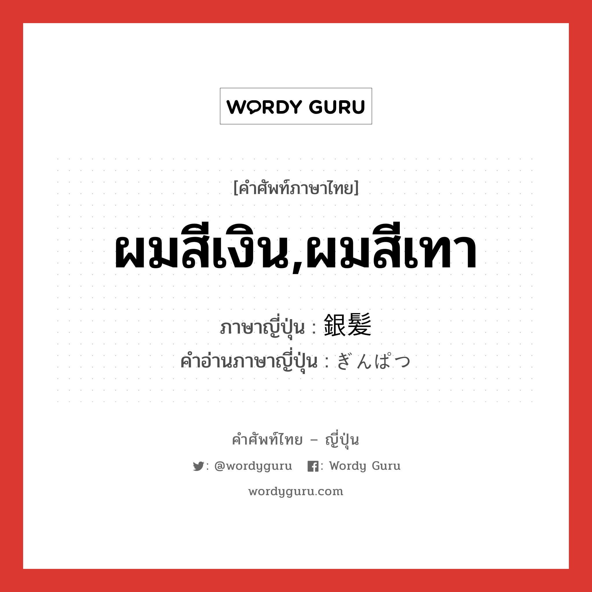 ผมสีเงิน,ผมสีเทา ภาษาญี่ปุ่นคืออะไร, คำศัพท์ภาษาไทย - ญี่ปุ่น ผมสีเงิน,ผมสีเทา ภาษาญี่ปุ่น 銀髪 คำอ่านภาษาญี่ปุ่น ぎんぱつ หมวด n หมวด n