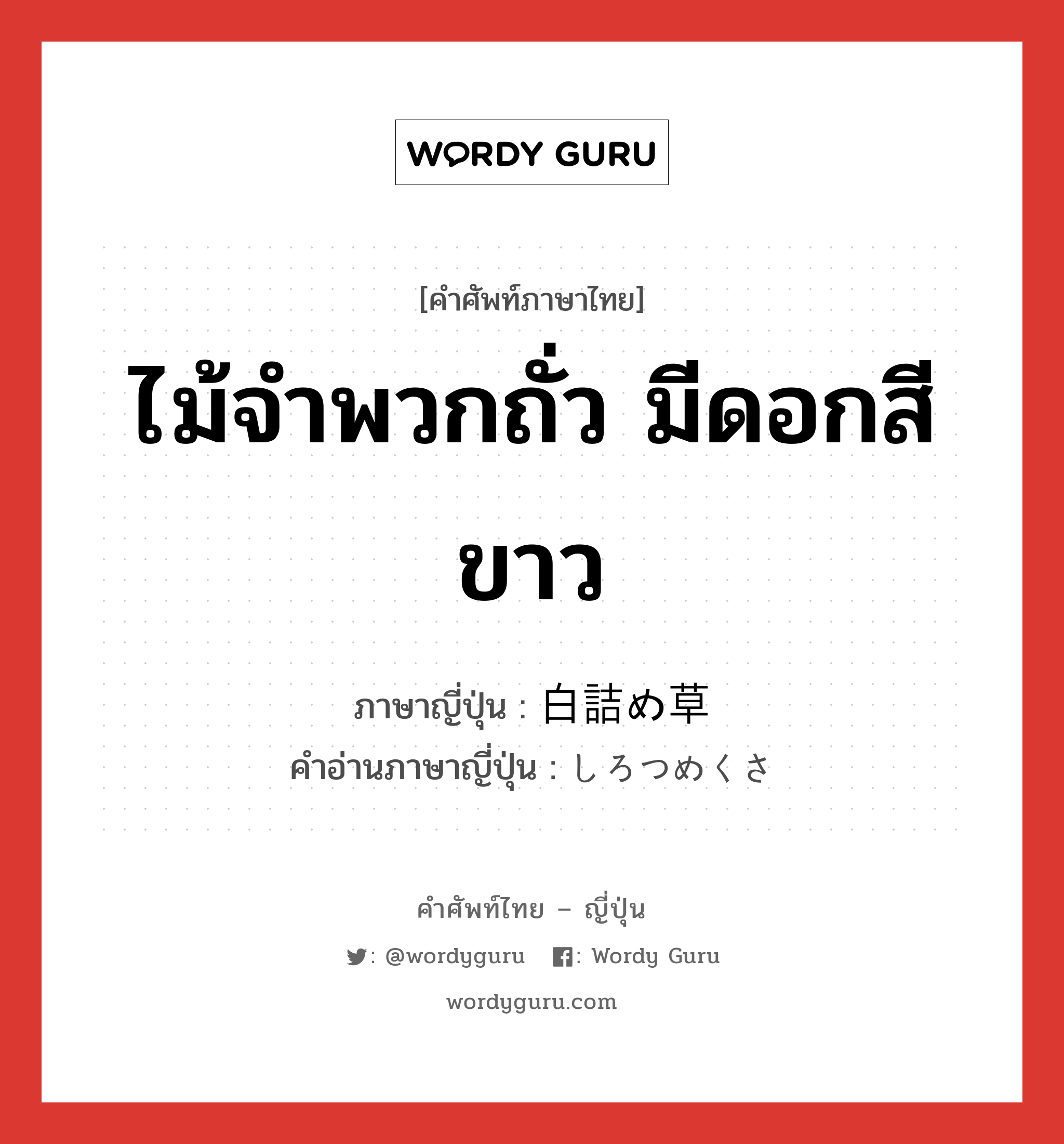 ไม้จำพวกถั่ว มีดอกสีขาว ภาษาญี่ปุ่นคืออะไร, คำศัพท์ภาษาไทย - ญี่ปุ่น ไม้จำพวกถั่ว มีดอกสีขาว ภาษาญี่ปุ่น 白詰め草 คำอ่านภาษาญี่ปุ่น しろつめくさ หมวด n หมวด n