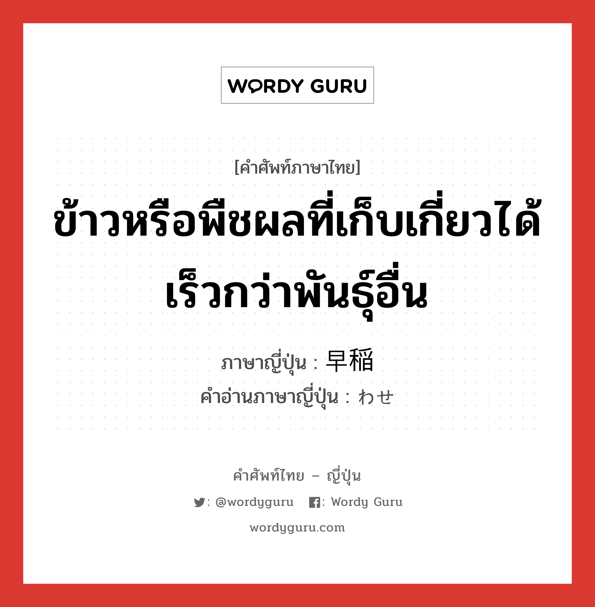 ข้าวหรือพืชผลที่เก็บเกี่ยวได้เร็วกว่าพันธุ์อื่น ภาษาญี่ปุ่นคืออะไร, คำศัพท์ภาษาไทย - ญี่ปุ่น ข้าวหรือพืชผลที่เก็บเกี่ยวได้เร็วกว่าพันธุ์อื่น ภาษาญี่ปุ่น 早稲 คำอ่านภาษาญี่ปุ่น わせ หมวด n หมวด n