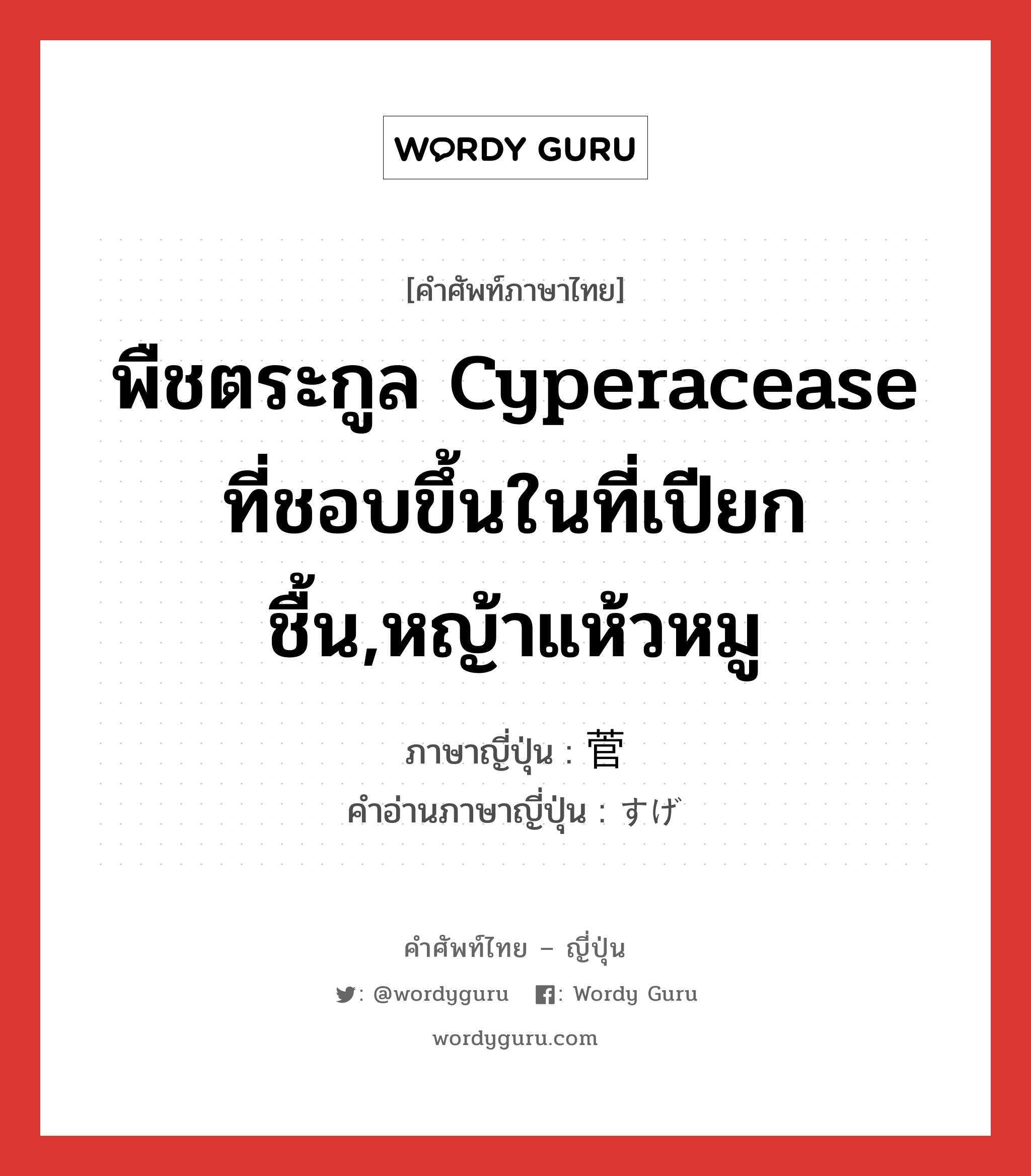 พืชตระกูล Cyperacease ที่ชอบขึ้นในที่เปียกชื้น,หญ้าแห้วหมู ภาษาญี่ปุ่นคืออะไร, คำศัพท์ภาษาไทย - ญี่ปุ่น พืชตระกูล Cyperacease ที่ชอบขึ้นในที่เปียกชื้น,หญ้าแห้วหมู ภาษาญี่ปุ่น 菅 คำอ่านภาษาญี่ปุ่น すげ หมวด n หมวด n