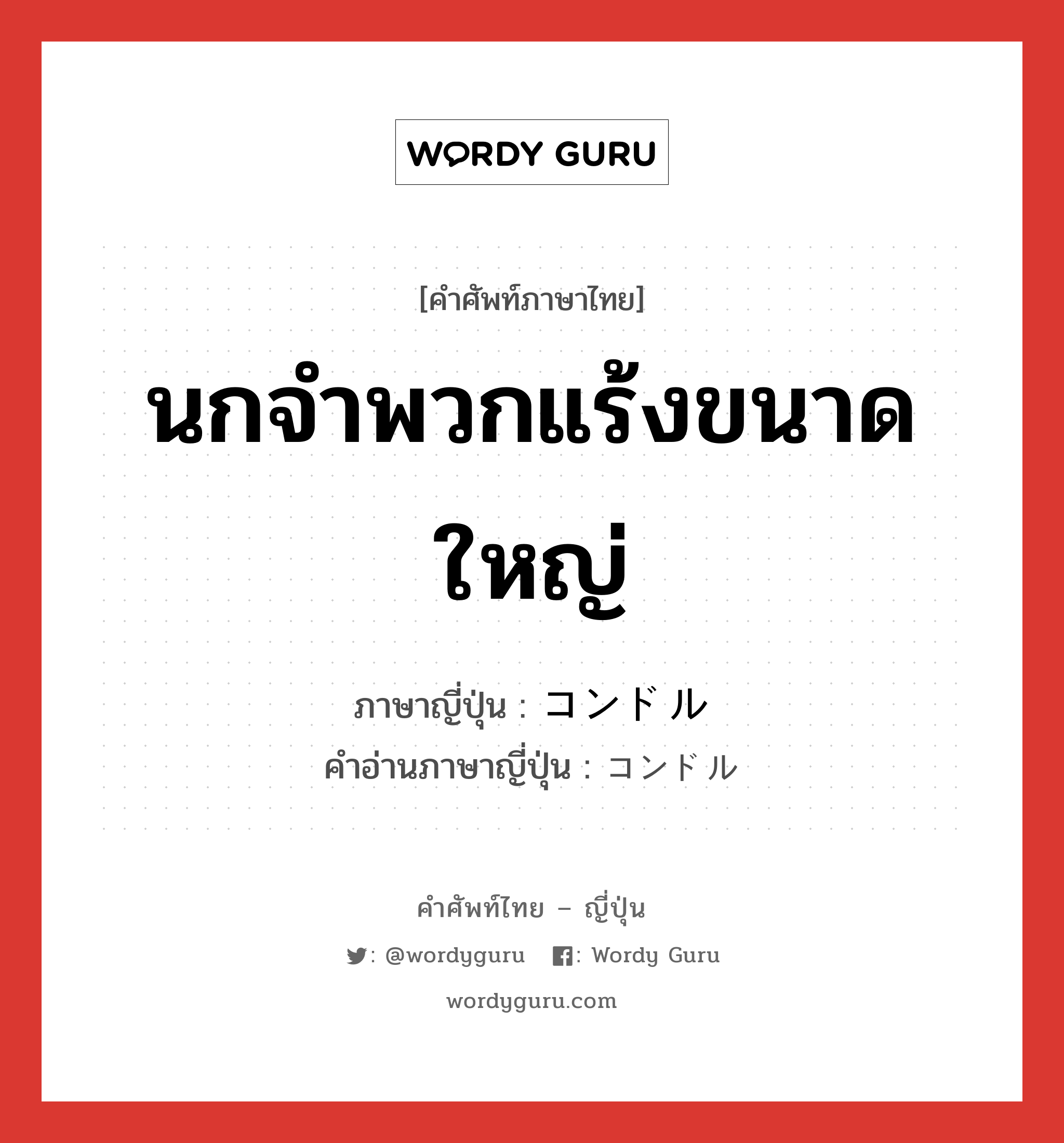 นกจำพวกแร้งขนาดใหญ่ ภาษาญี่ปุ่นคืออะไร, คำศัพท์ภาษาไทย - ญี่ปุ่น นกจำพวกแร้งขนาดใหญ่ ภาษาญี่ปุ่น コンドル คำอ่านภาษาญี่ปุ่น コンドル หมวด n หมวด n