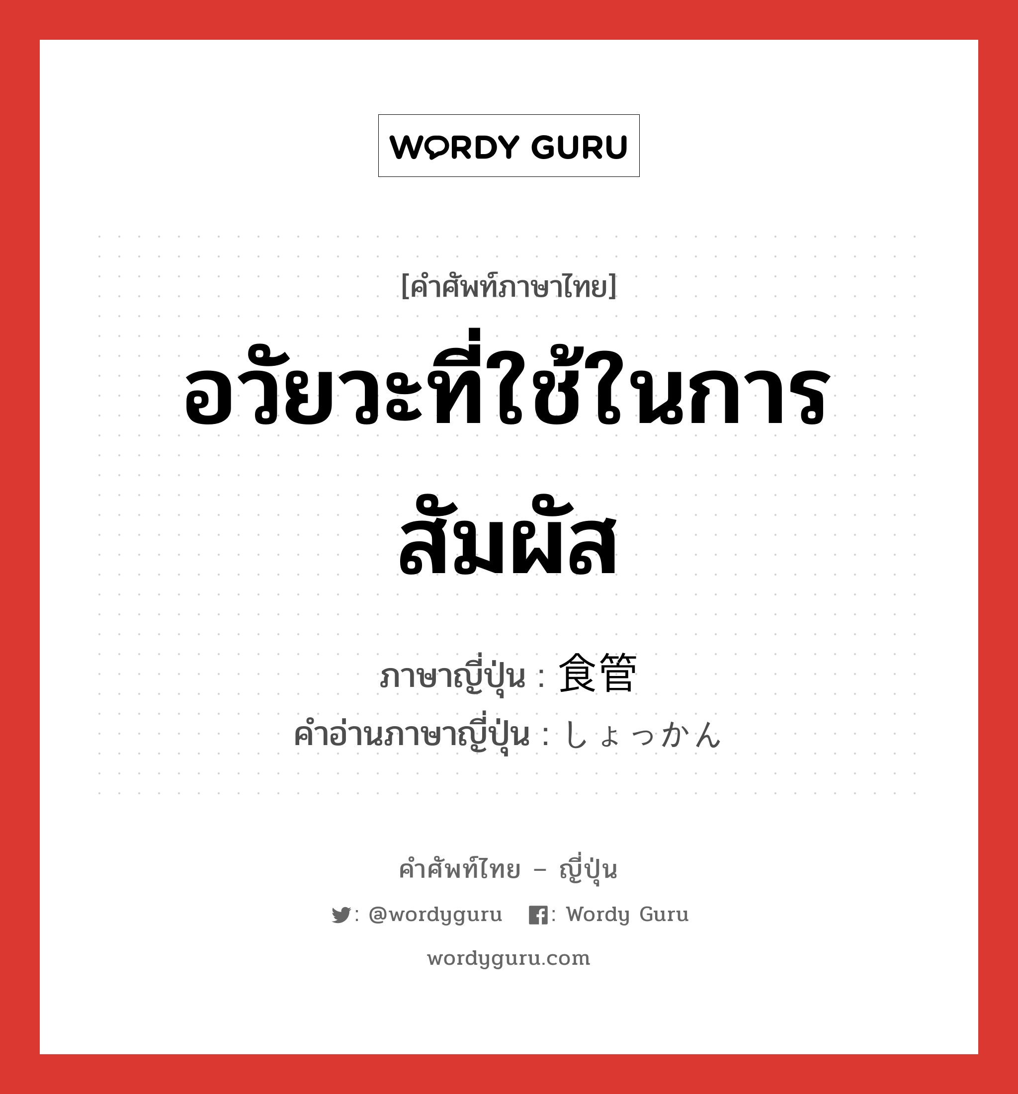 อวัยวะที่ใช้ในการสัมผัส ภาษาญี่ปุ่นคืออะไร, คำศัพท์ภาษาไทย - ญี่ปุ่น อวัยวะที่ใช้ในการสัมผัส ภาษาญี่ปุ่น 食管 คำอ่านภาษาญี่ปุ่น しょっかん หมวด n หมวด n