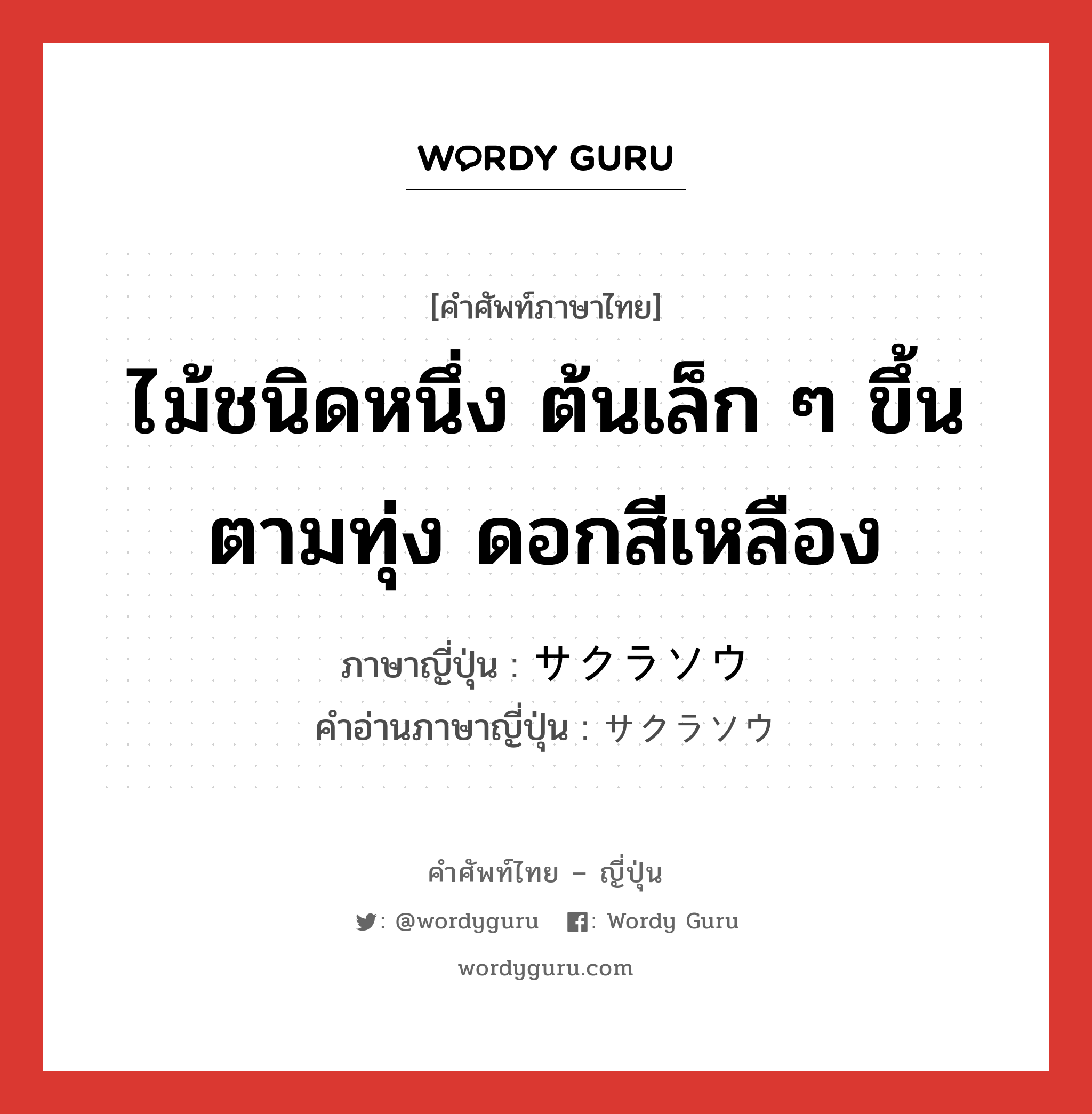 ไม้ชนิดหนึ่ง ต้นเล็ก ๆ ขึ้นตามทุ่ง ดอกสีเหลือง ภาษาญี่ปุ่นคืออะไร, คำศัพท์ภาษาไทย - ญี่ปุ่น ไม้ชนิดหนึ่ง ต้นเล็ก ๆ ขึ้นตามทุ่ง ดอกสีเหลือง ภาษาญี่ปุ่น サクラソウ คำอ่านภาษาญี่ปุ่น サクラソウ หมวด n หมวด n