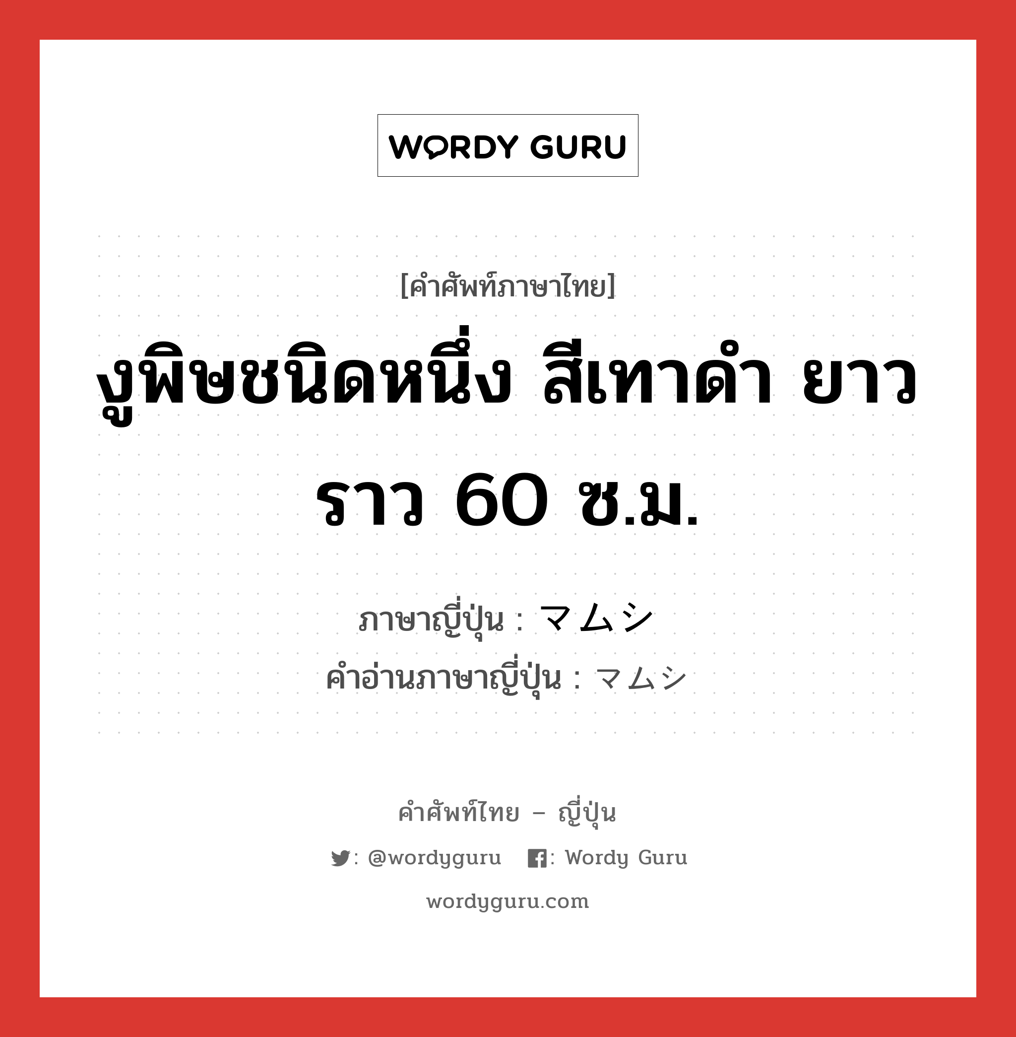 งูพิษชนิดหนึ่ง สีเทาดำ ยาวราว 60 ซ.ม. ภาษาญี่ปุ่นคืออะไร, คำศัพท์ภาษาไทย - ญี่ปุ่น งูพิษชนิดหนึ่ง สีเทาดำ ยาวราว 60 ซ.ม. ภาษาญี่ปุ่น マムシ คำอ่านภาษาญี่ปุ่น マムシ หมวด n หมวด n