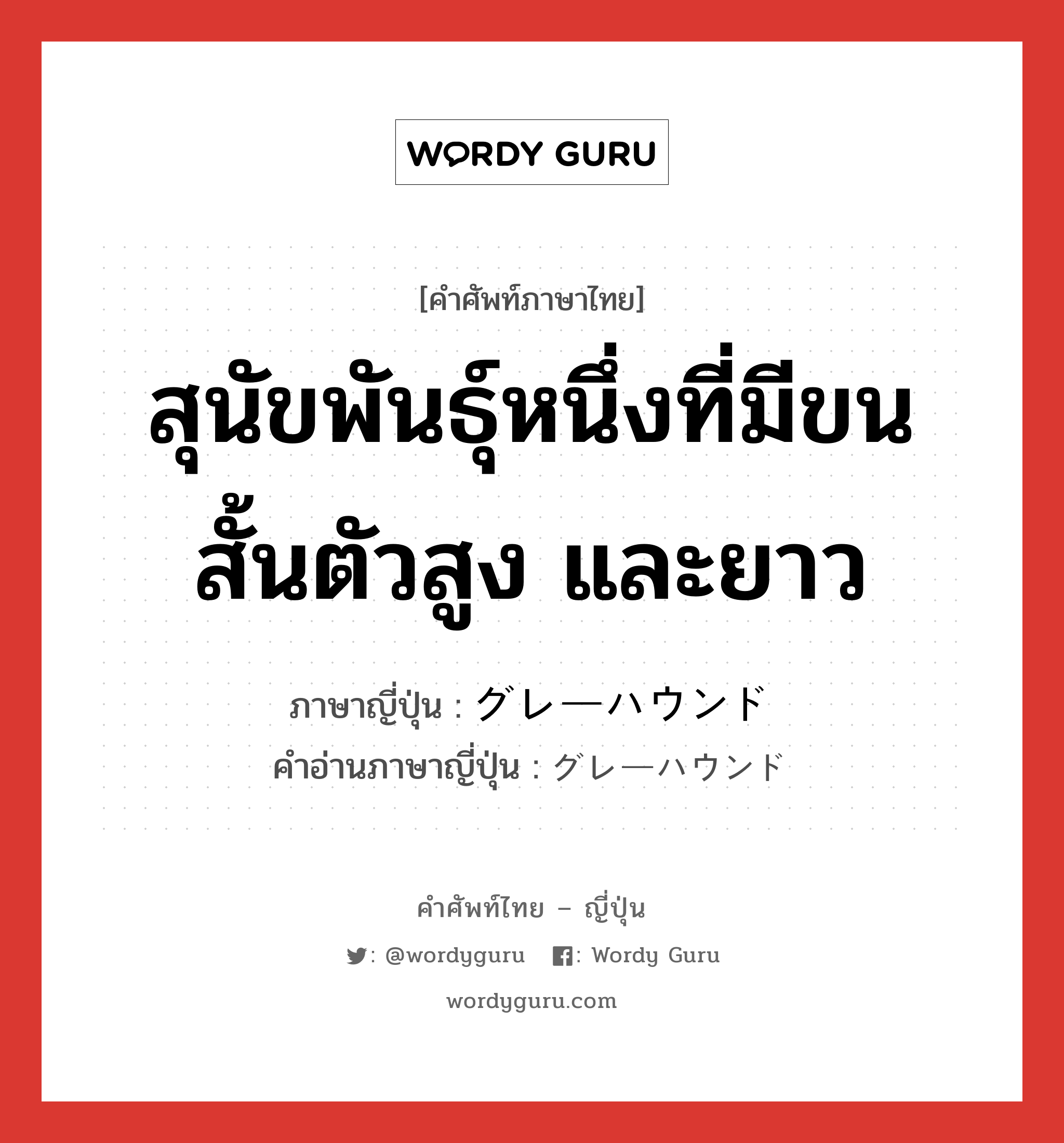 สุนัขพันธุ์หนึ่งที่มีขนสั้นตัวสูง และยาว ภาษาญี่ปุ่นคืออะไร, คำศัพท์ภาษาไทย - ญี่ปุ่น สุนัขพันธุ์หนึ่งที่มีขนสั้นตัวสูง และยาว ภาษาญี่ปุ่น グレーハウンド คำอ่านภาษาญี่ปุ่น グレーハウンド หมวด n หมวด n