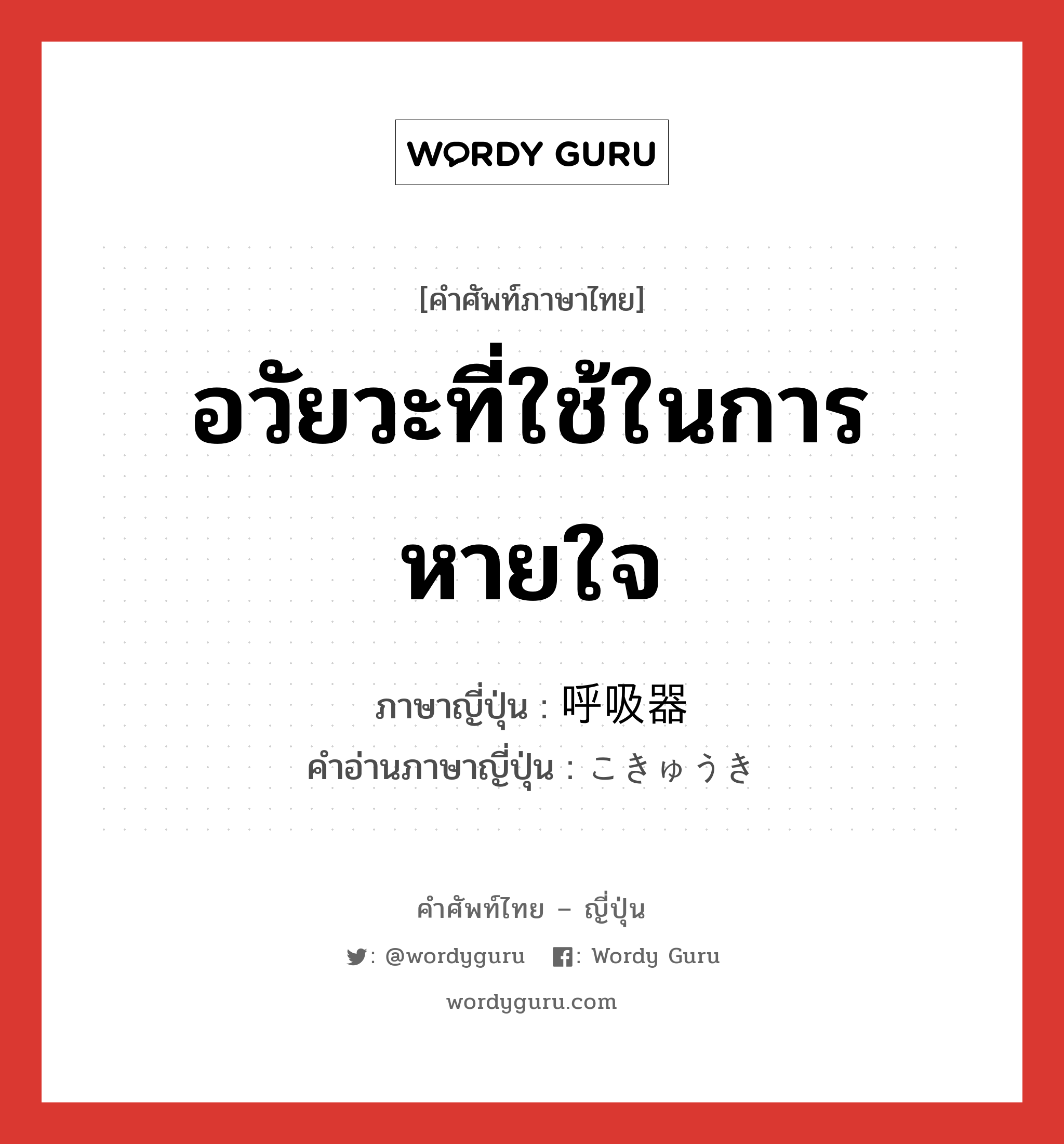 อวัยวะที่ใช้ในการหายใจ ภาษาญี่ปุ่นคืออะไร, คำศัพท์ภาษาไทย - ญี่ปุ่น อวัยวะที่ใช้ในการหายใจ ภาษาญี่ปุ่น 呼吸器 คำอ่านภาษาญี่ปุ่น こきゅうき หมวด n หมวด n