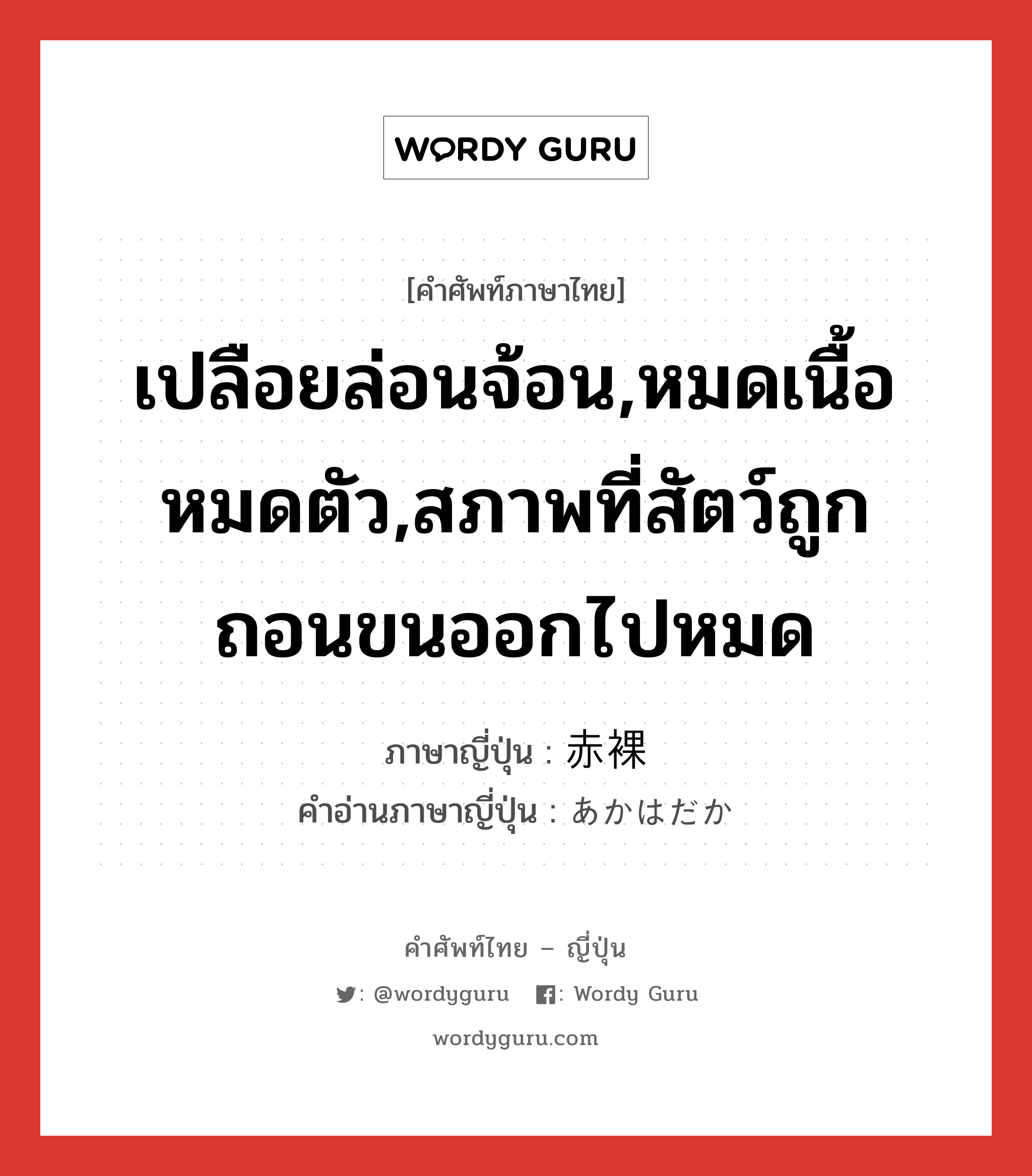 เปลือยล่อนจ้อน,หมดเนื้อหมดตัว,สภาพที่สัตว์ถูกถอนขนออกไปหมด ภาษาญี่ปุ่นคืออะไร, คำศัพท์ภาษาไทย - ญี่ปุ่น เปลือยล่อนจ้อน,หมดเนื้อหมดตัว,สภาพที่สัตว์ถูกถอนขนออกไปหมด ภาษาญี่ปุ่น 赤裸 คำอ่านภาษาญี่ปุ่น あかはだか หมวด adj-na หมวด adj-na