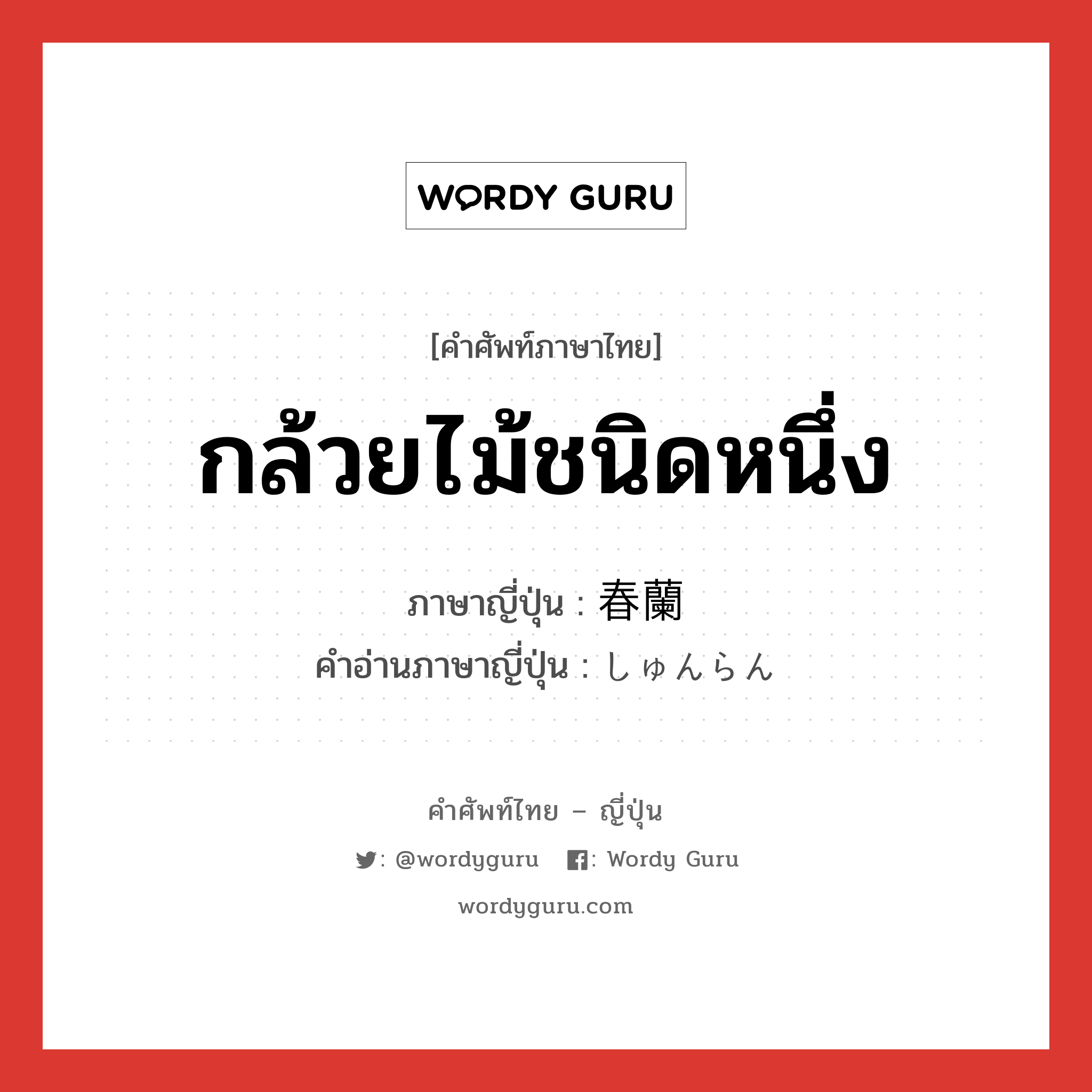 กล้วยไม้ชนิดหนึ่ง ภาษาญี่ปุ่นคืออะไร, คำศัพท์ภาษาไทย - ญี่ปุ่น กล้วยไม้ชนิดหนึ่ง ภาษาญี่ปุ่น 春蘭 คำอ่านภาษาญี่ปุ่น しゅんらん หมวด n หมวด n